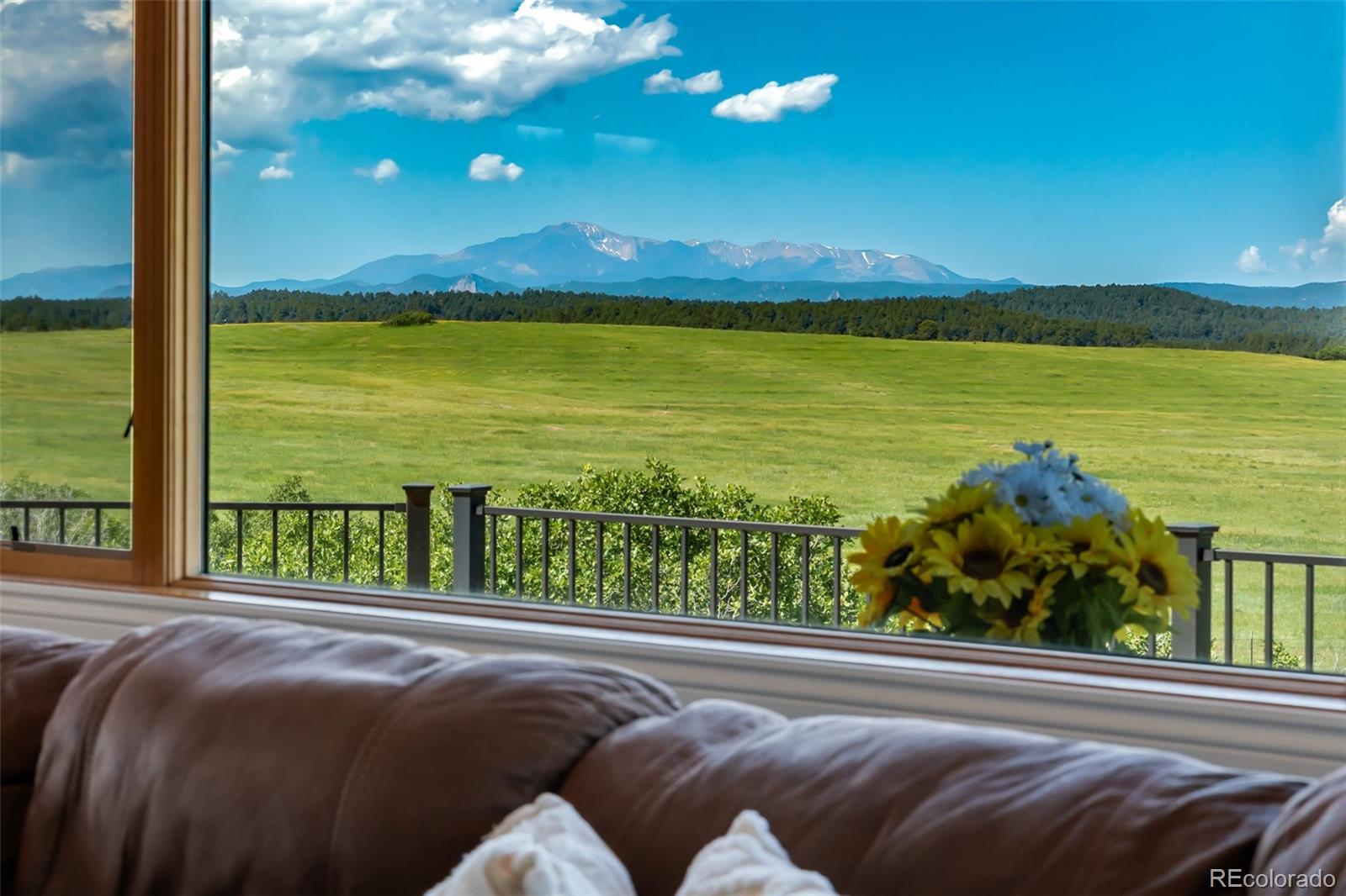 MLS Image #5 for 4586  best road,larkspur, Colorado