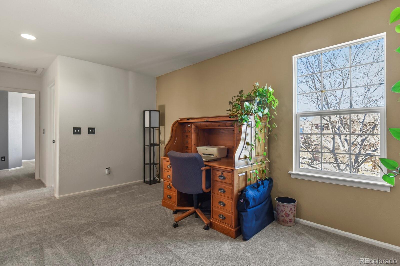 MLS Image #20 for 6336  millbridge avenue,castle rock, Colorado