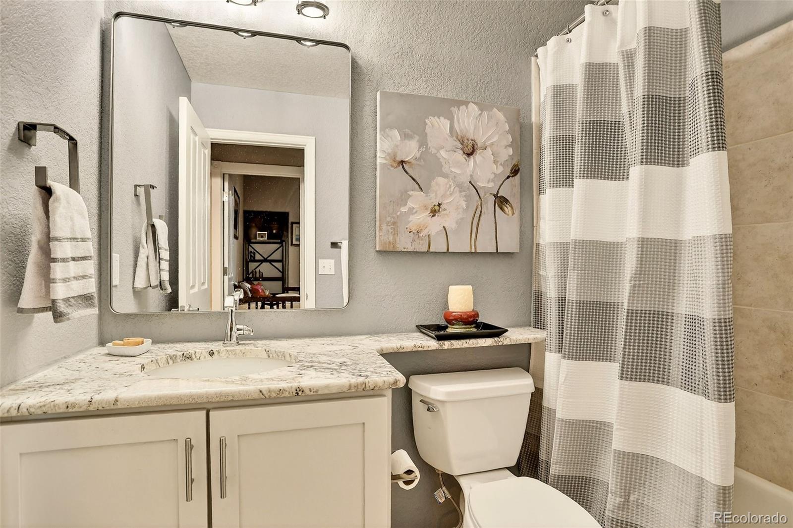 MLS Image #10 for 8976  old tom morris circle,highlands ranch, Colorado