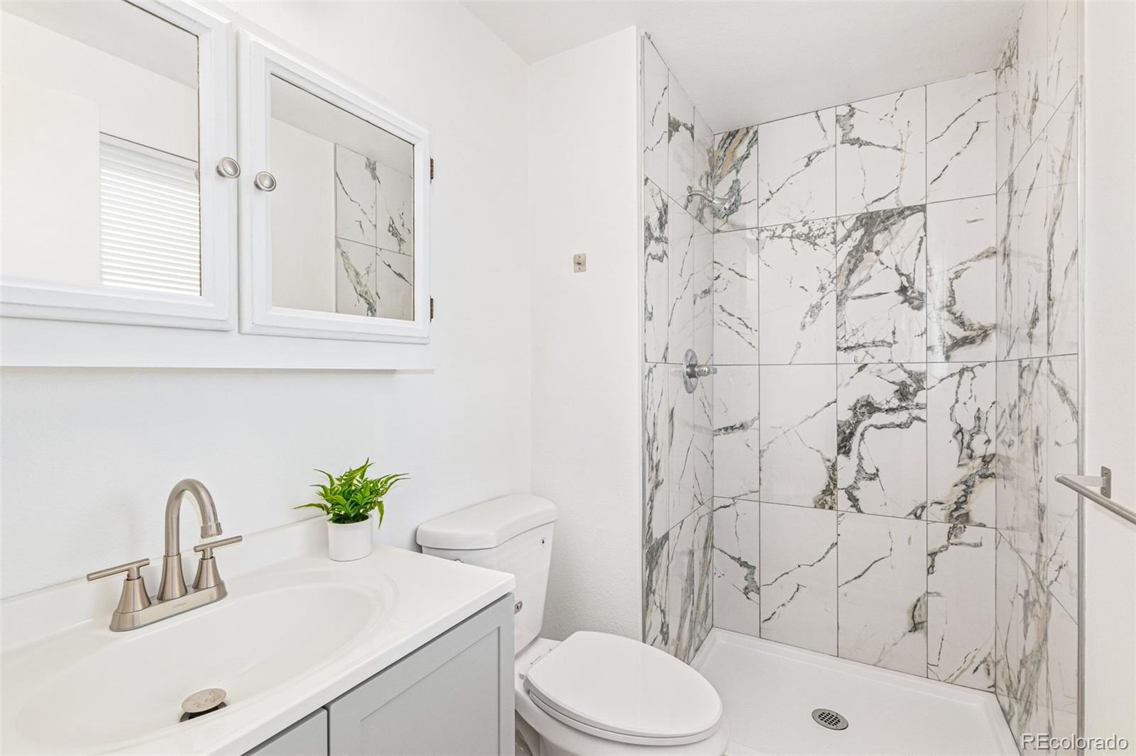 MLS Image #12 for 12694  edwards place,denver, Colorado