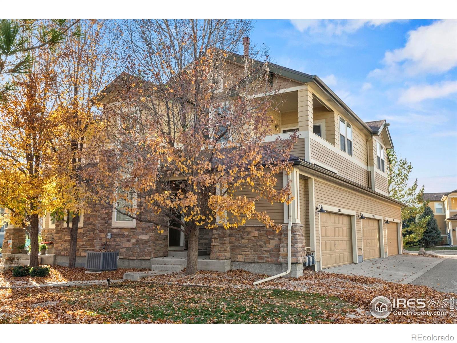 MLS Image #2 for 3814  sky gazer lane,fort collins, Colorado