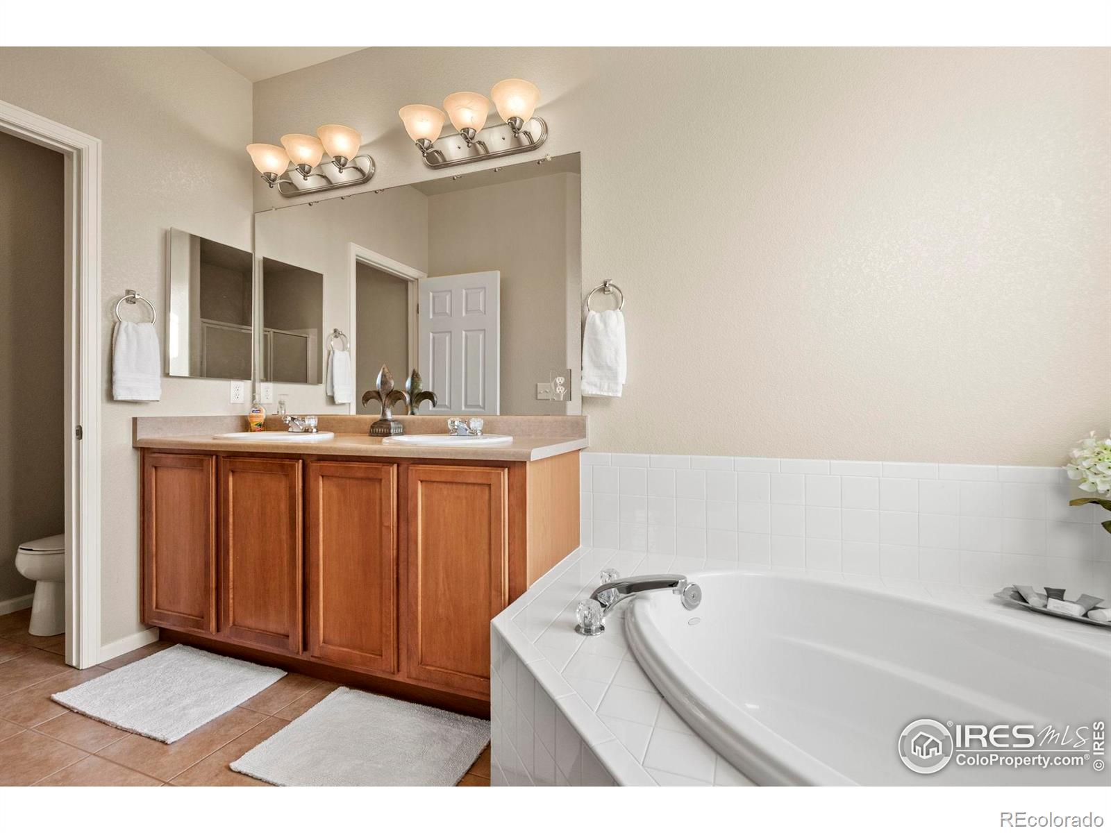 MLS Image #22 for 3814  sky gazer lane,fort collins, Colorado