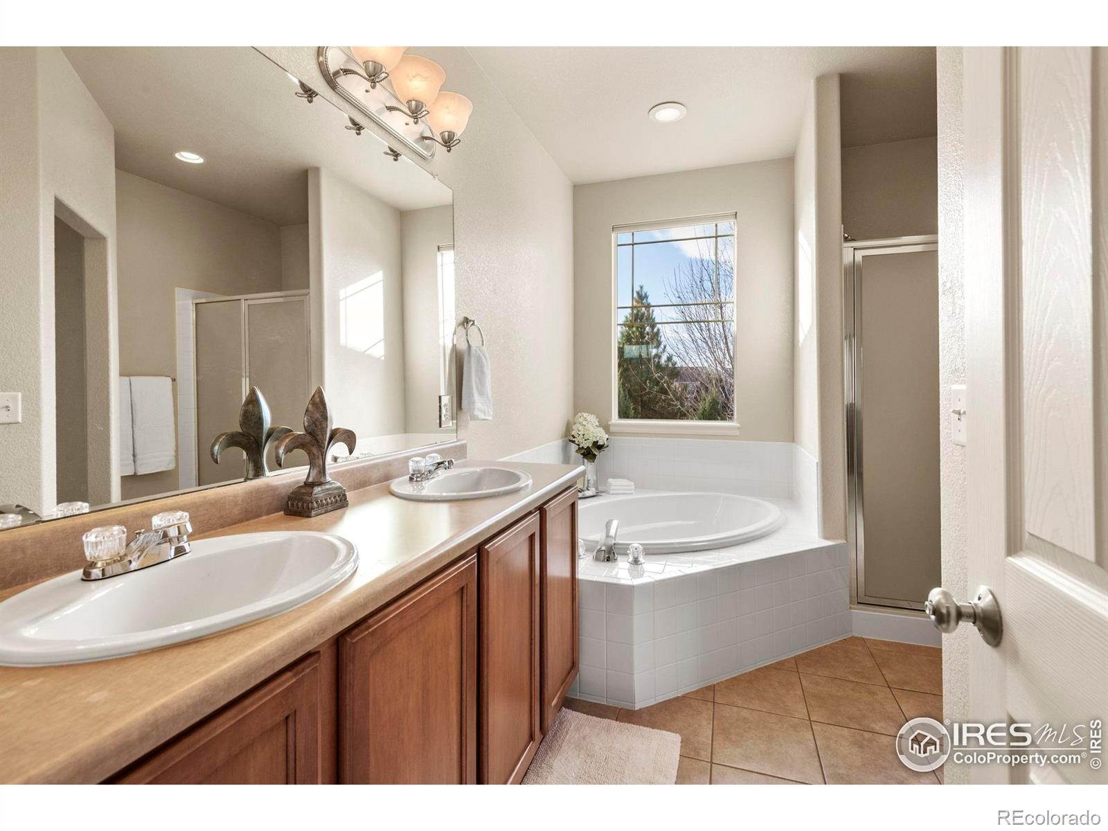 MLS Image #23 for 3814  sky gazer lane,fort collins, Colorado