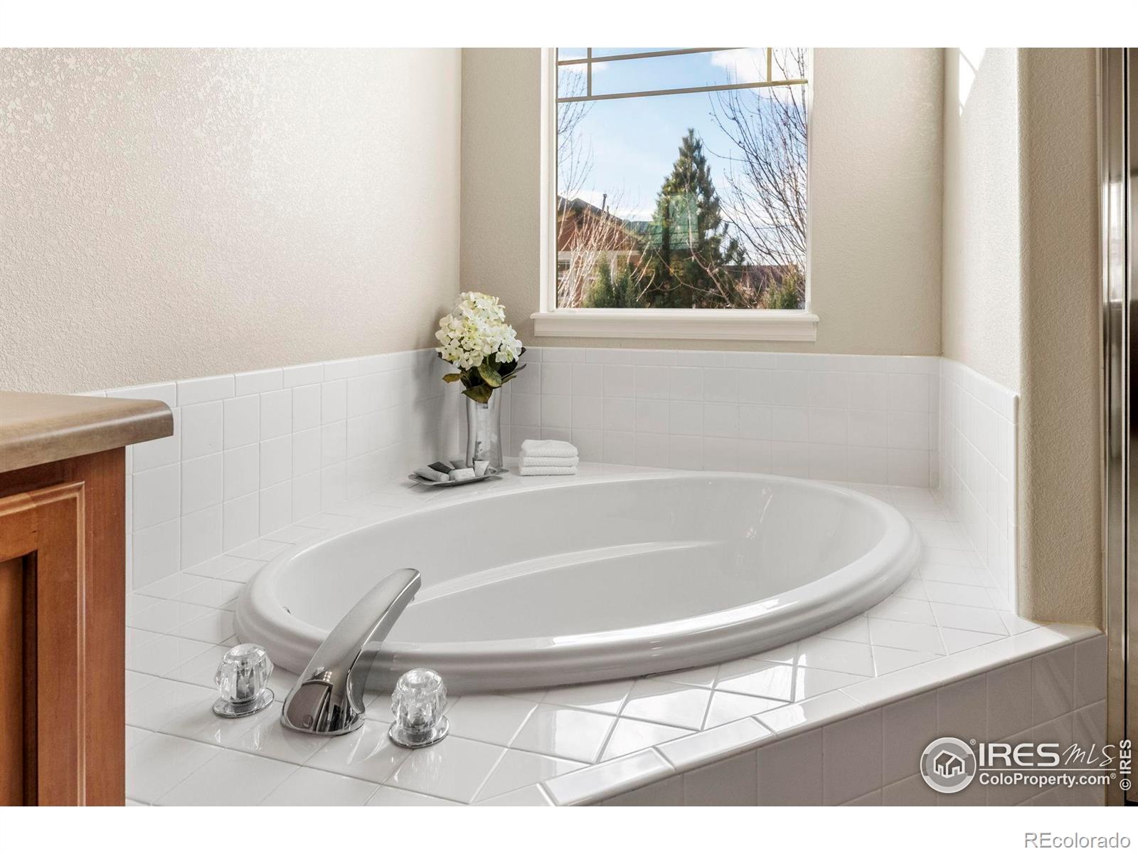 MLS Image #24 for 3814  sky gazer lane,fort collins, Colorado