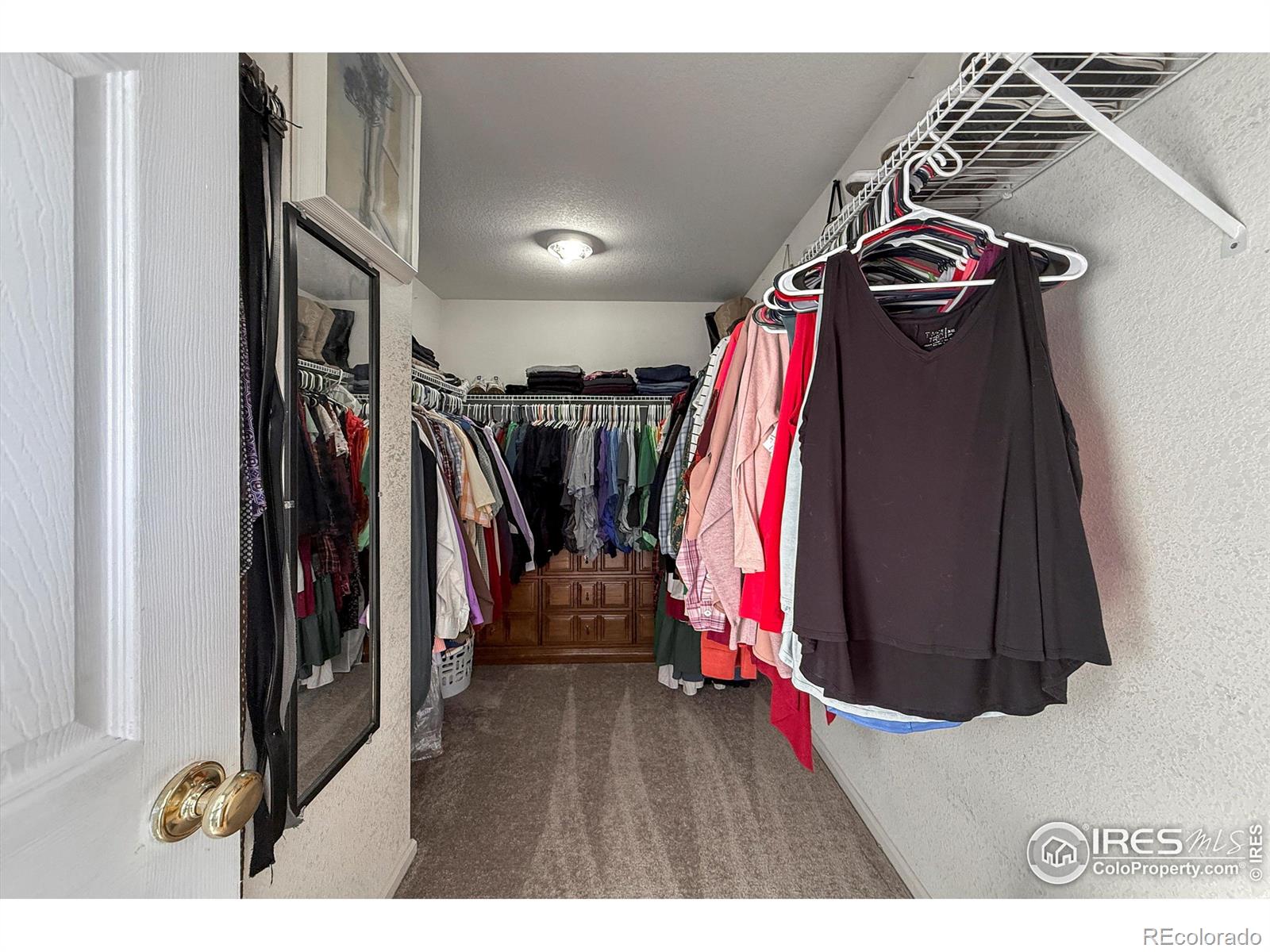 MLS Image #19 for 10688  butte drive,longmont, Colorado