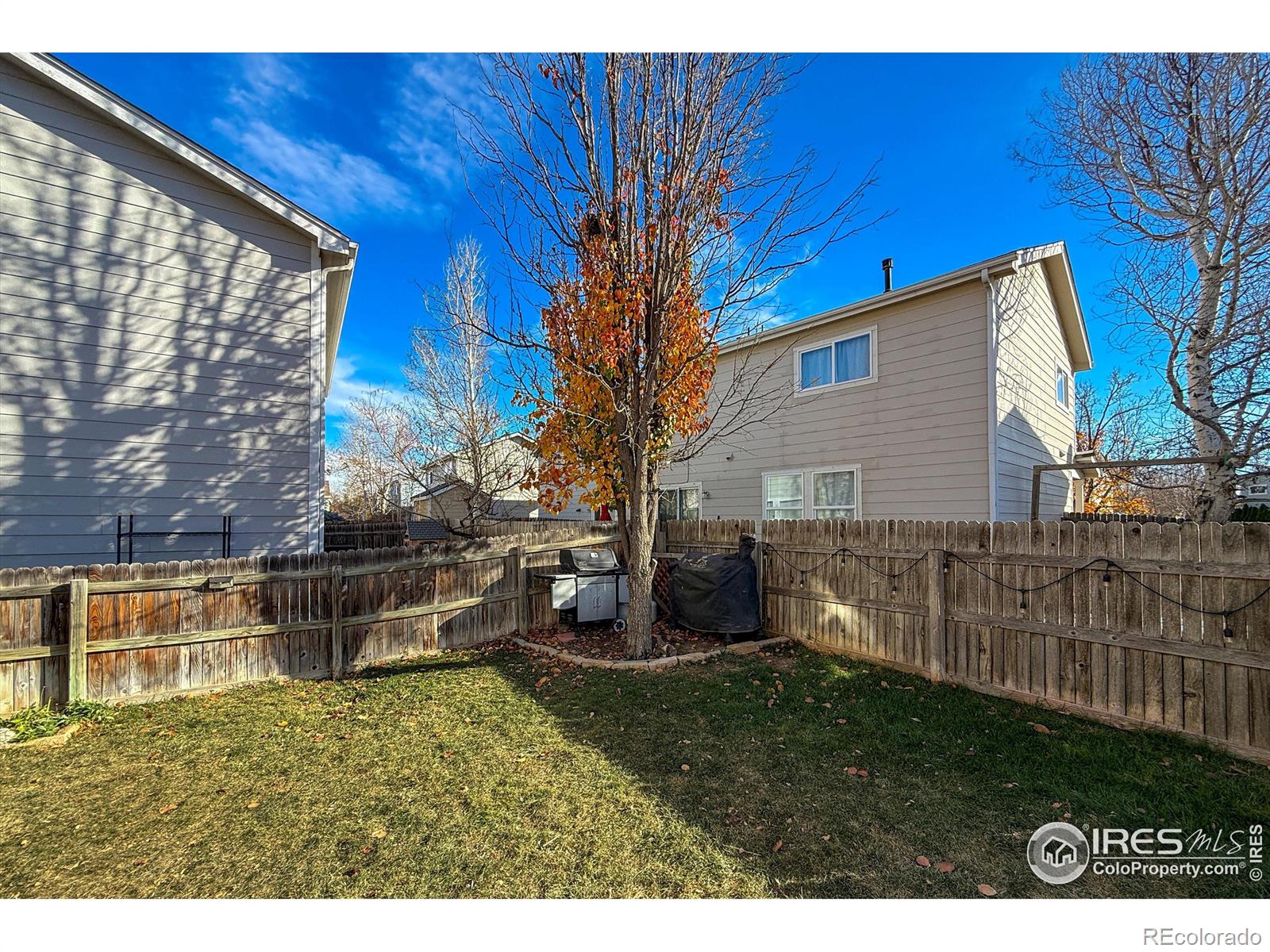 MLS Image #35 for 10688  butte drive,longmont, Colorado