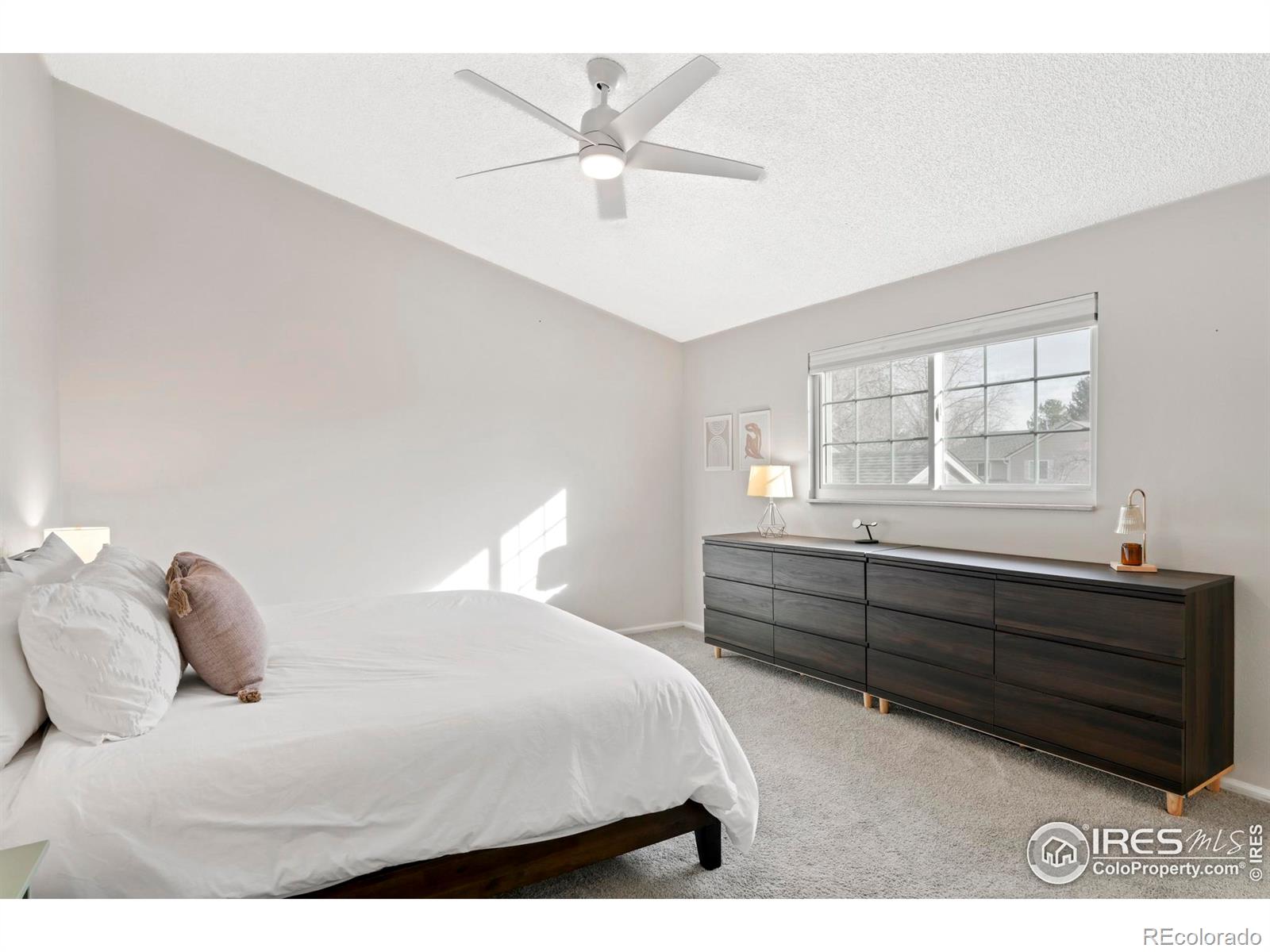 MLS Image #11 for 6595 s webster street,littleton, Colorado