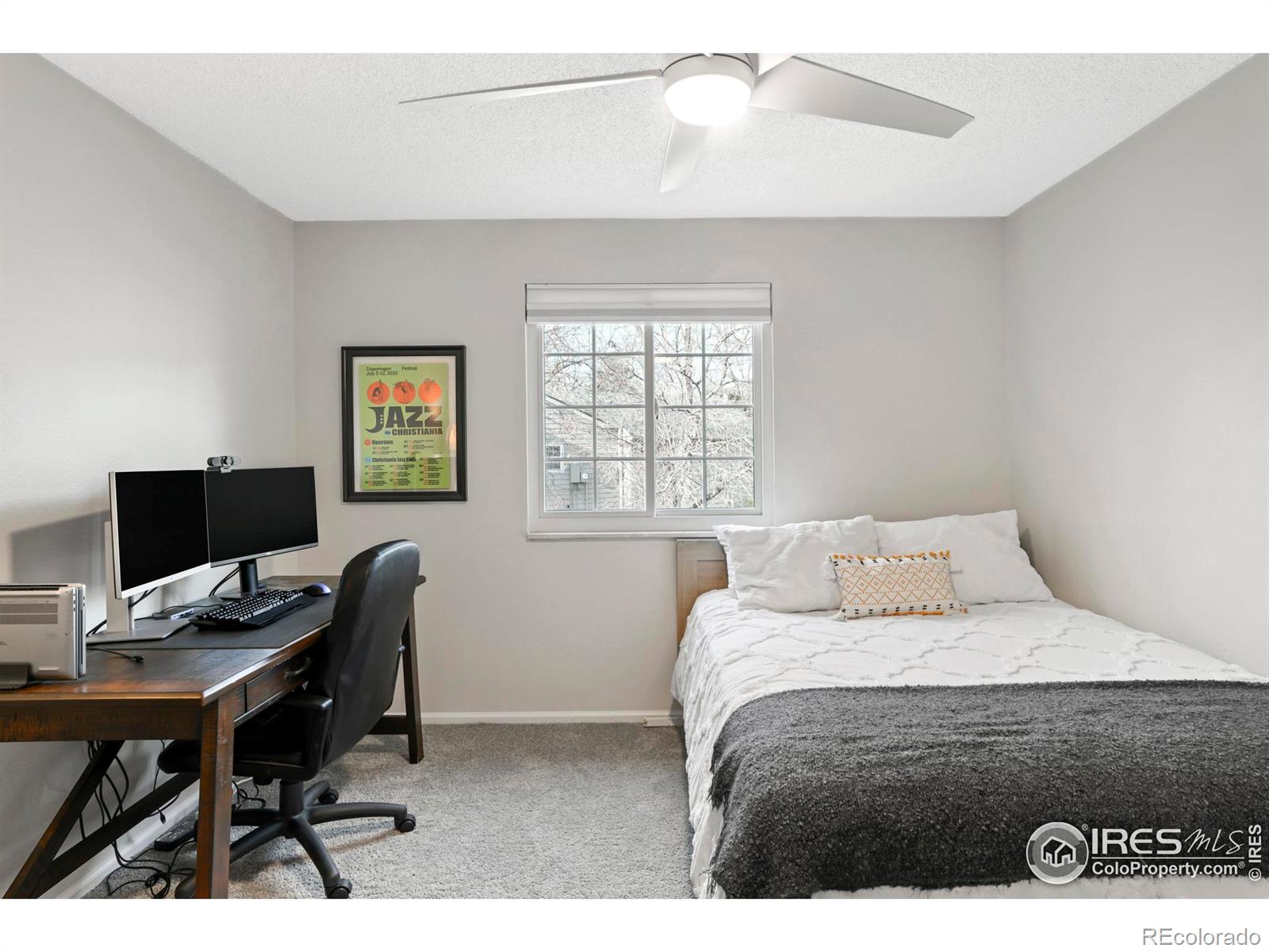 MLS Image #14 for 6595 s webster street,littleton, Colorado