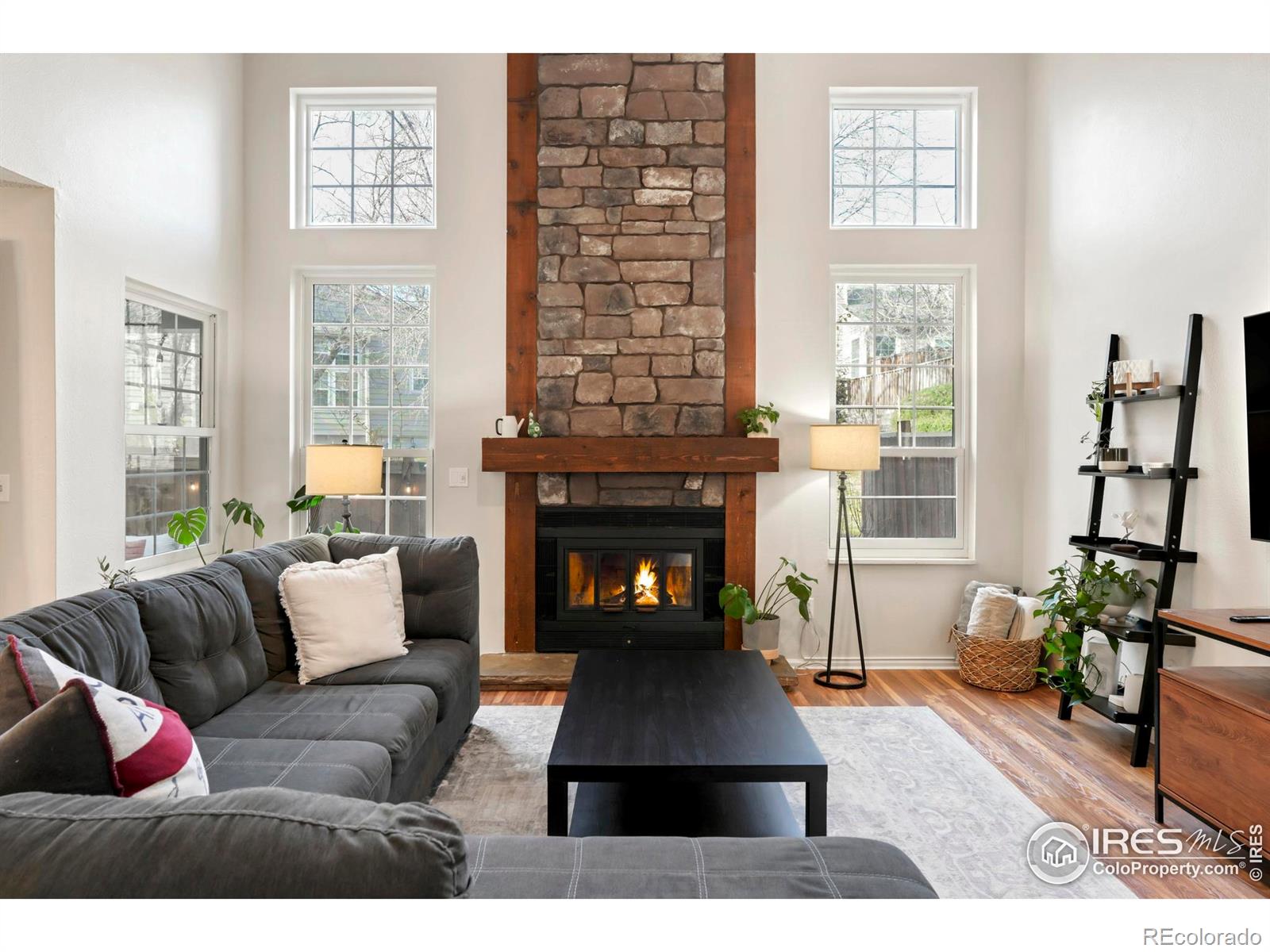 MLS Image #3 for 6595 s webster street,littleton, Colorado