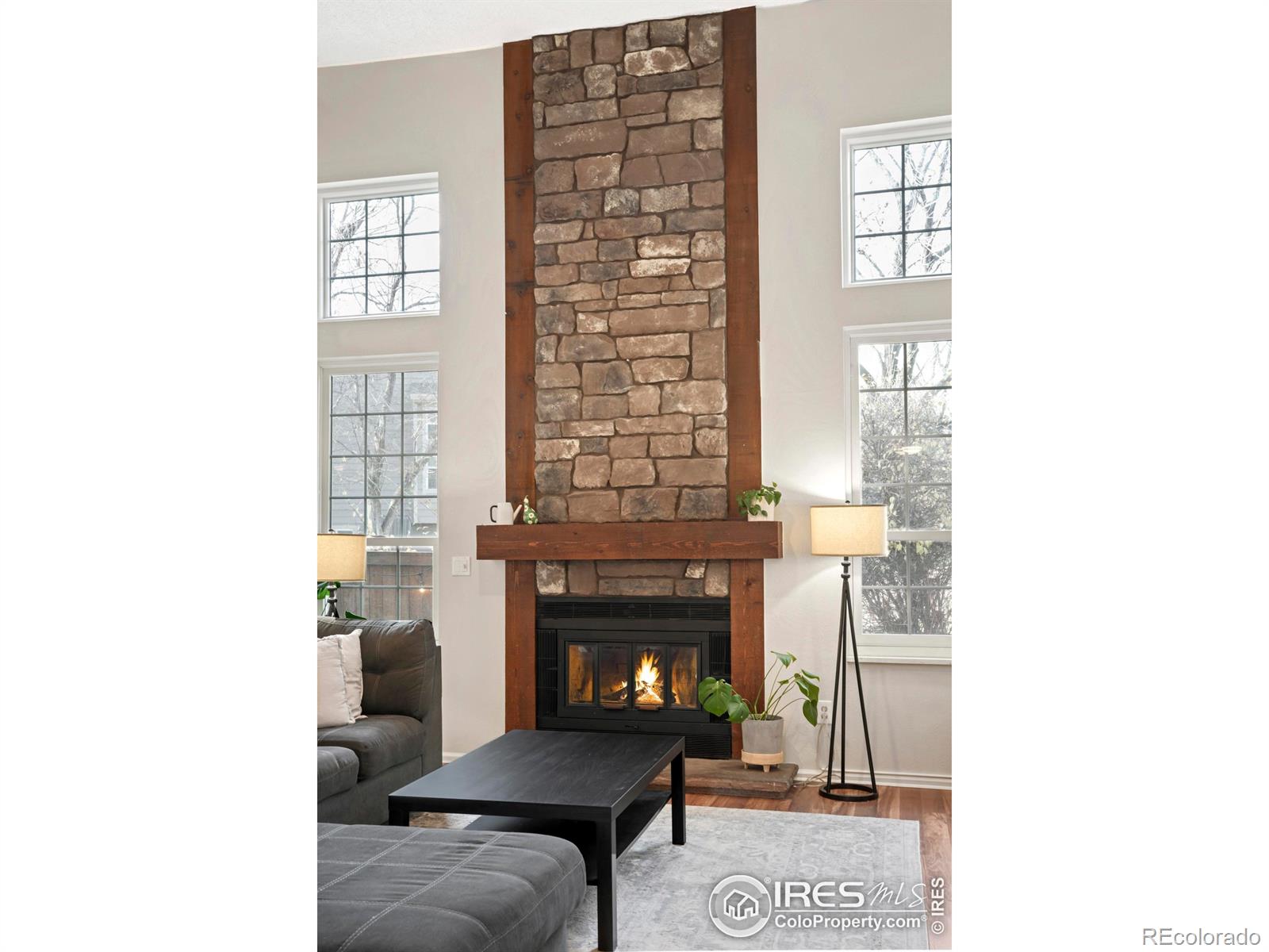 MLS Image #4 for 6595 s webster street,littleton, Colorado