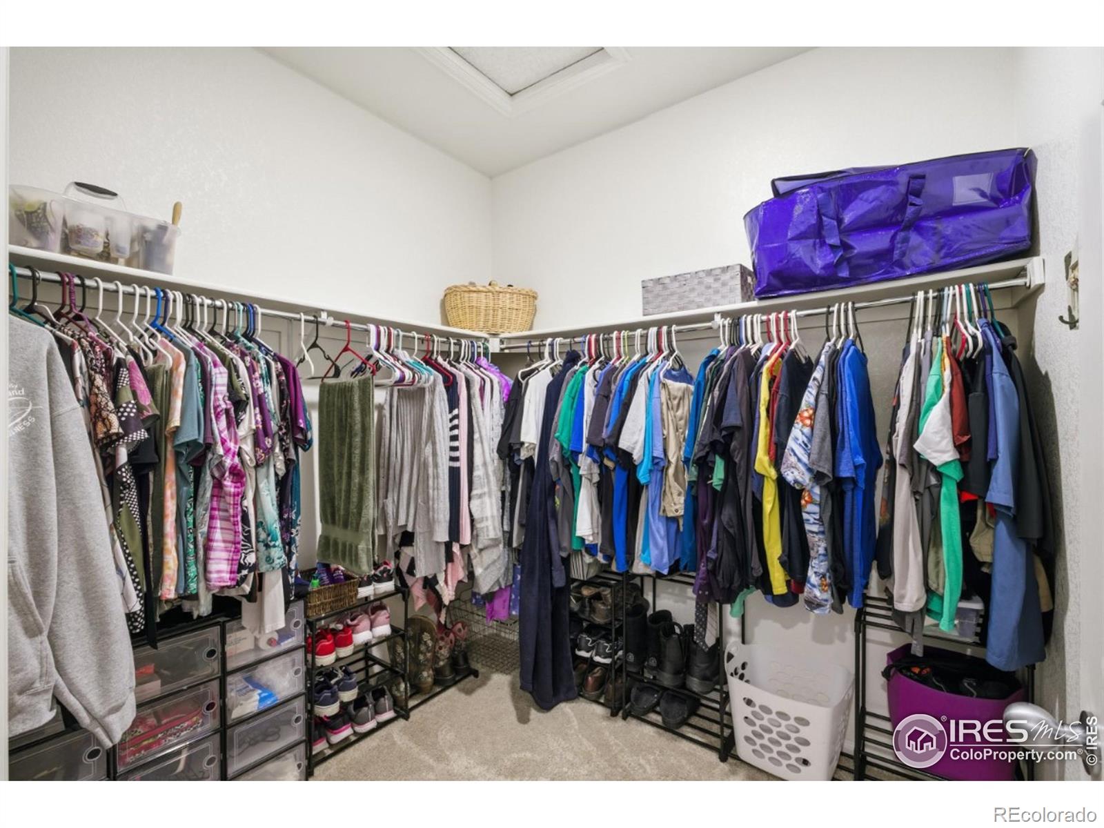 MLS Image #14 for 916  birchdale court,windsor, Colorado