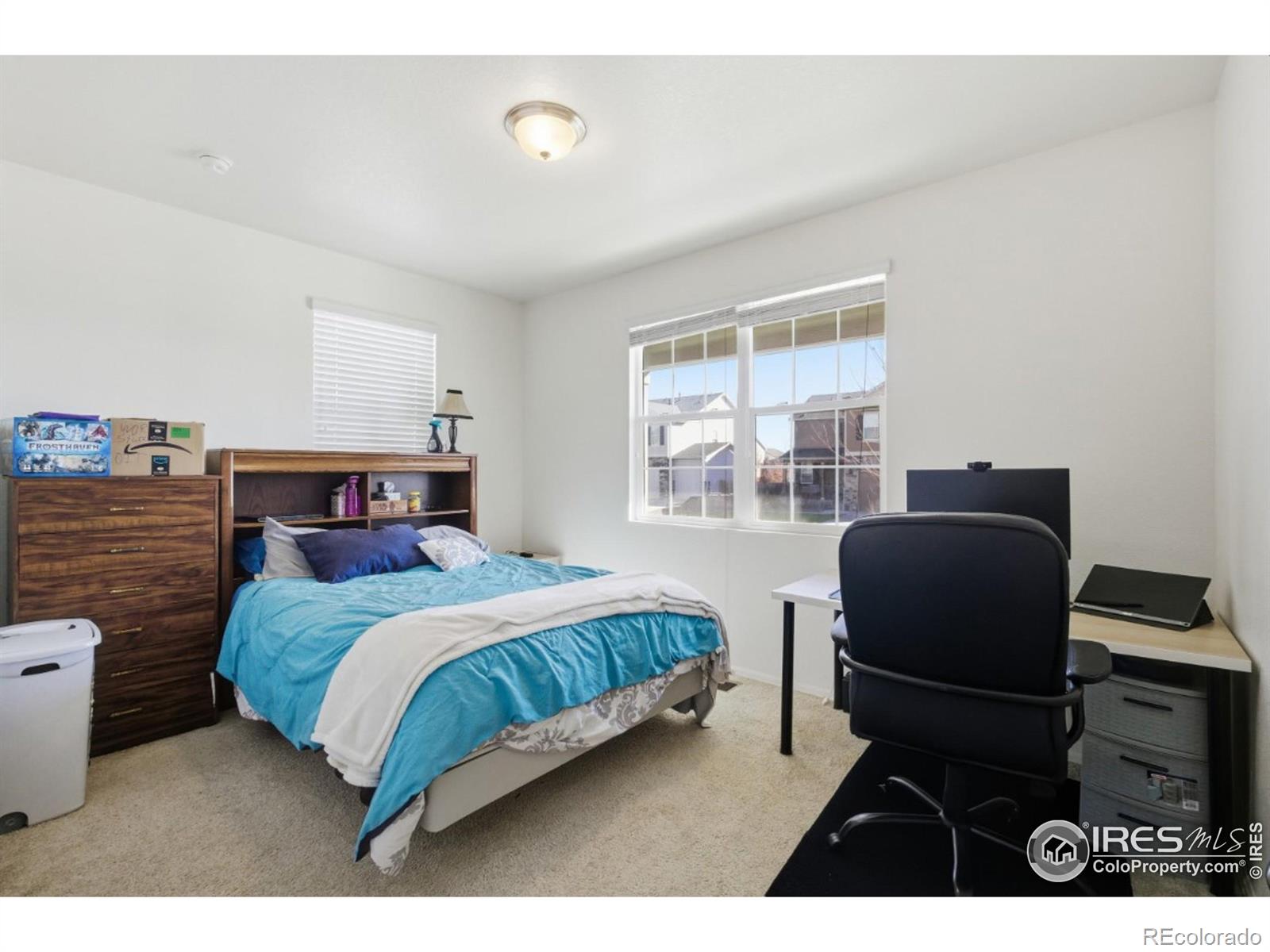 MLS Image #15 for 916  birchdale court,windsor, Colorado