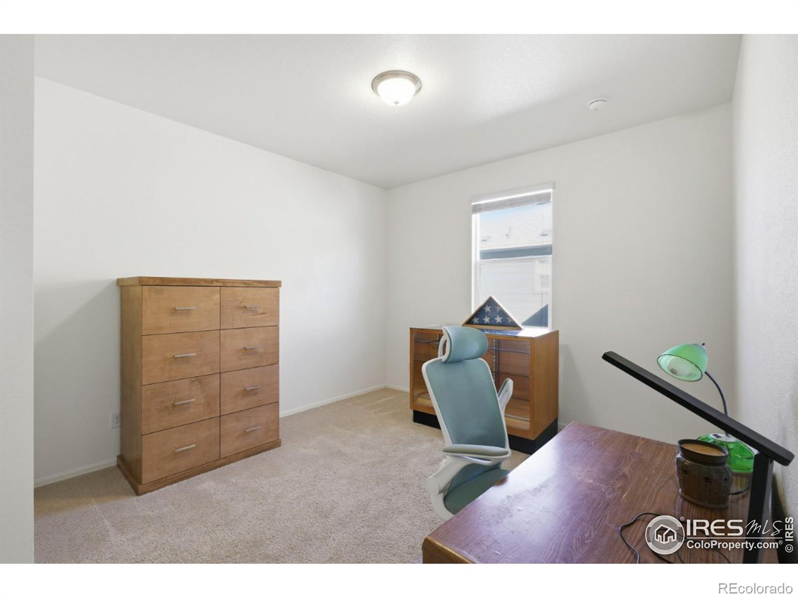 MLS Image #16 for 916  birchdale court,windsor, Colorado