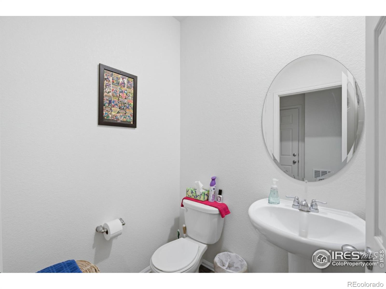 MLS Image #18 for 916  birchdale court,windsor, Colorado