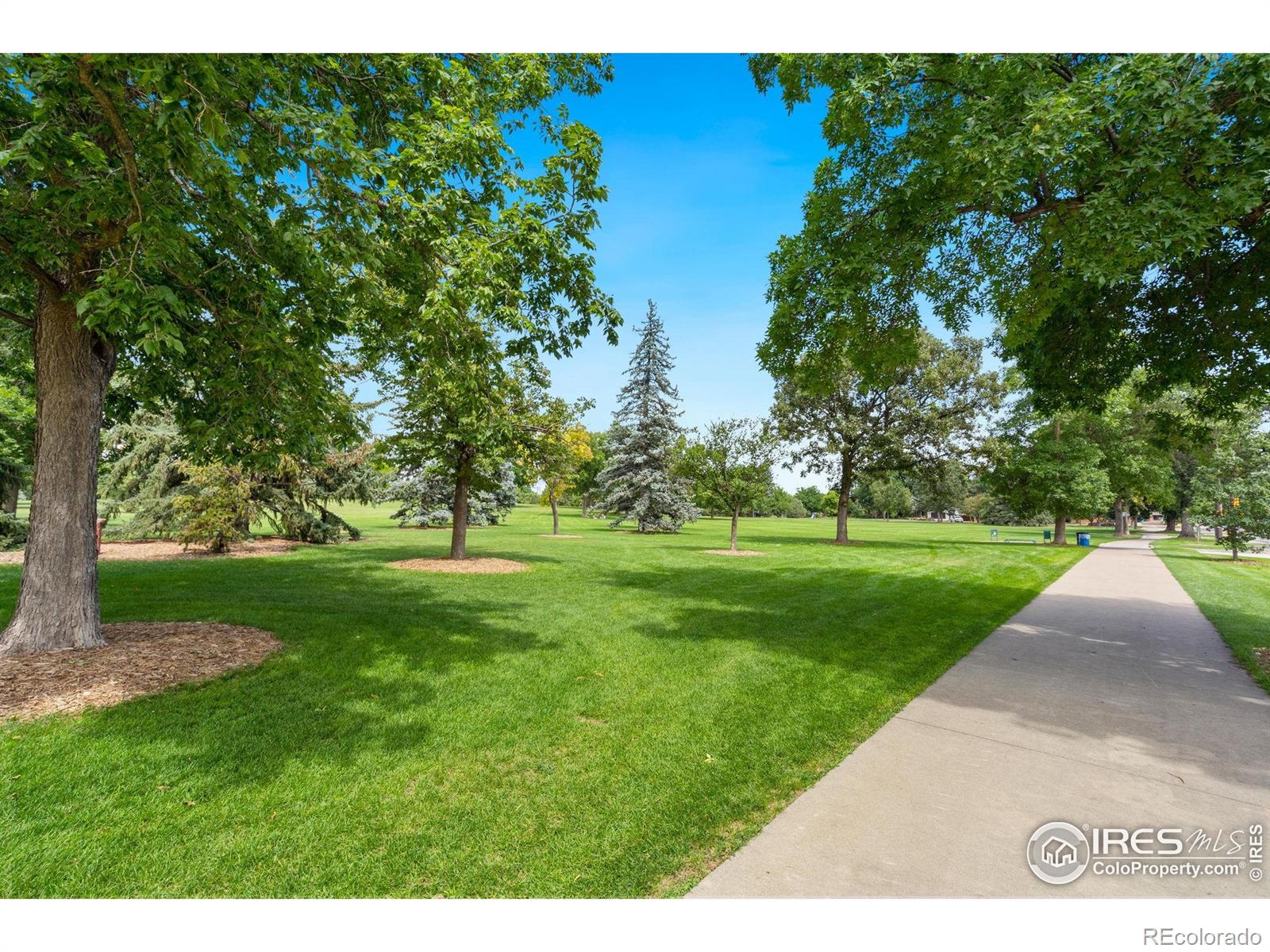 MLS Image #46 for 603  rook street,fort collins, Colorado