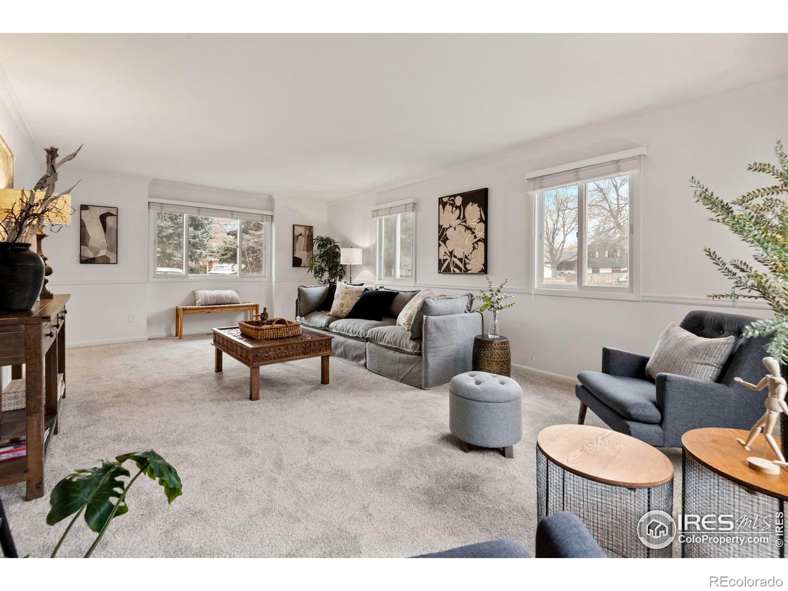 MLS Image #6 for 2900  stanford road,fort collins, Colorado