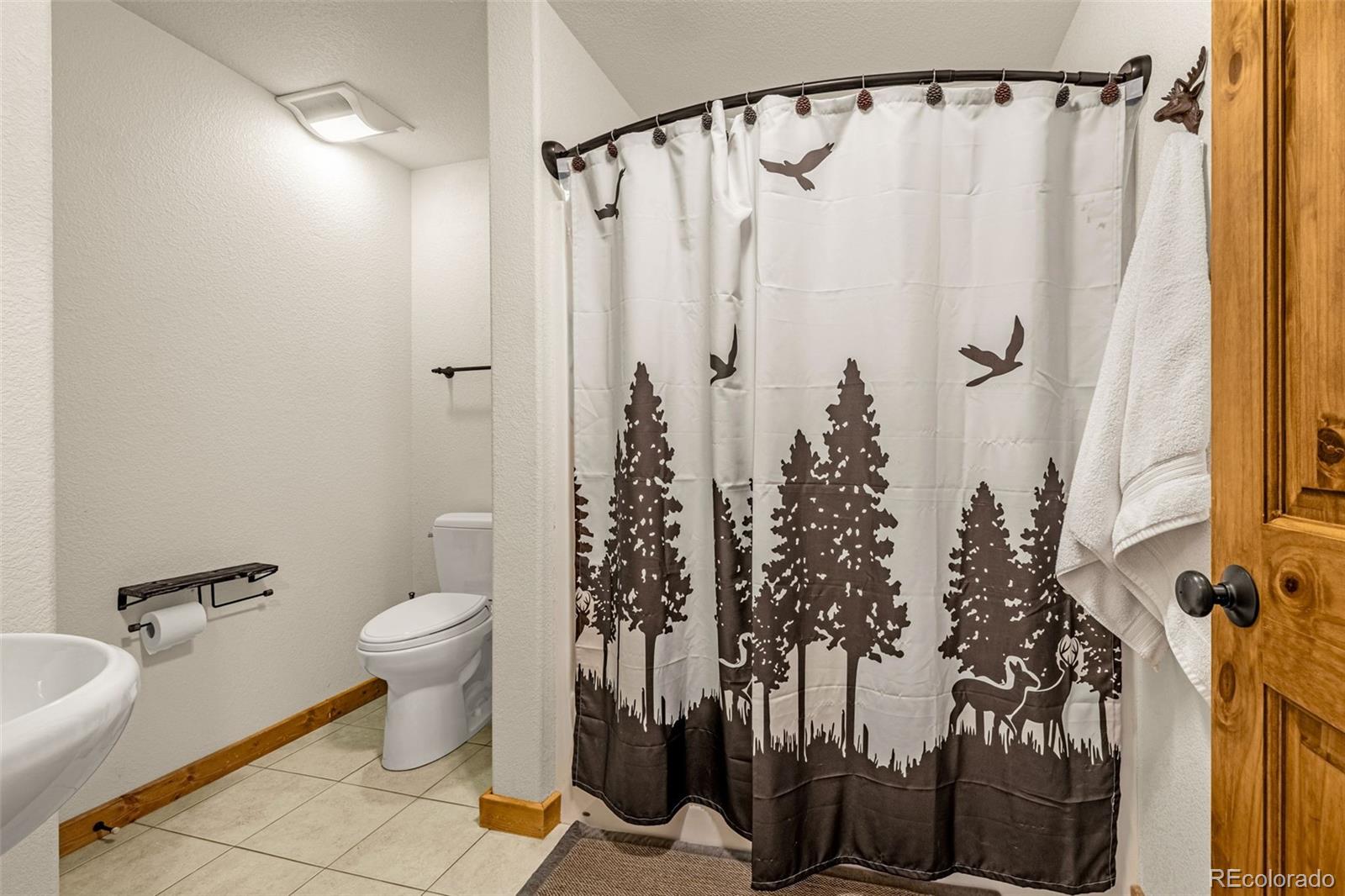 MLS Image #24 for 619  golden cycle circle,cripple creek, Colorado