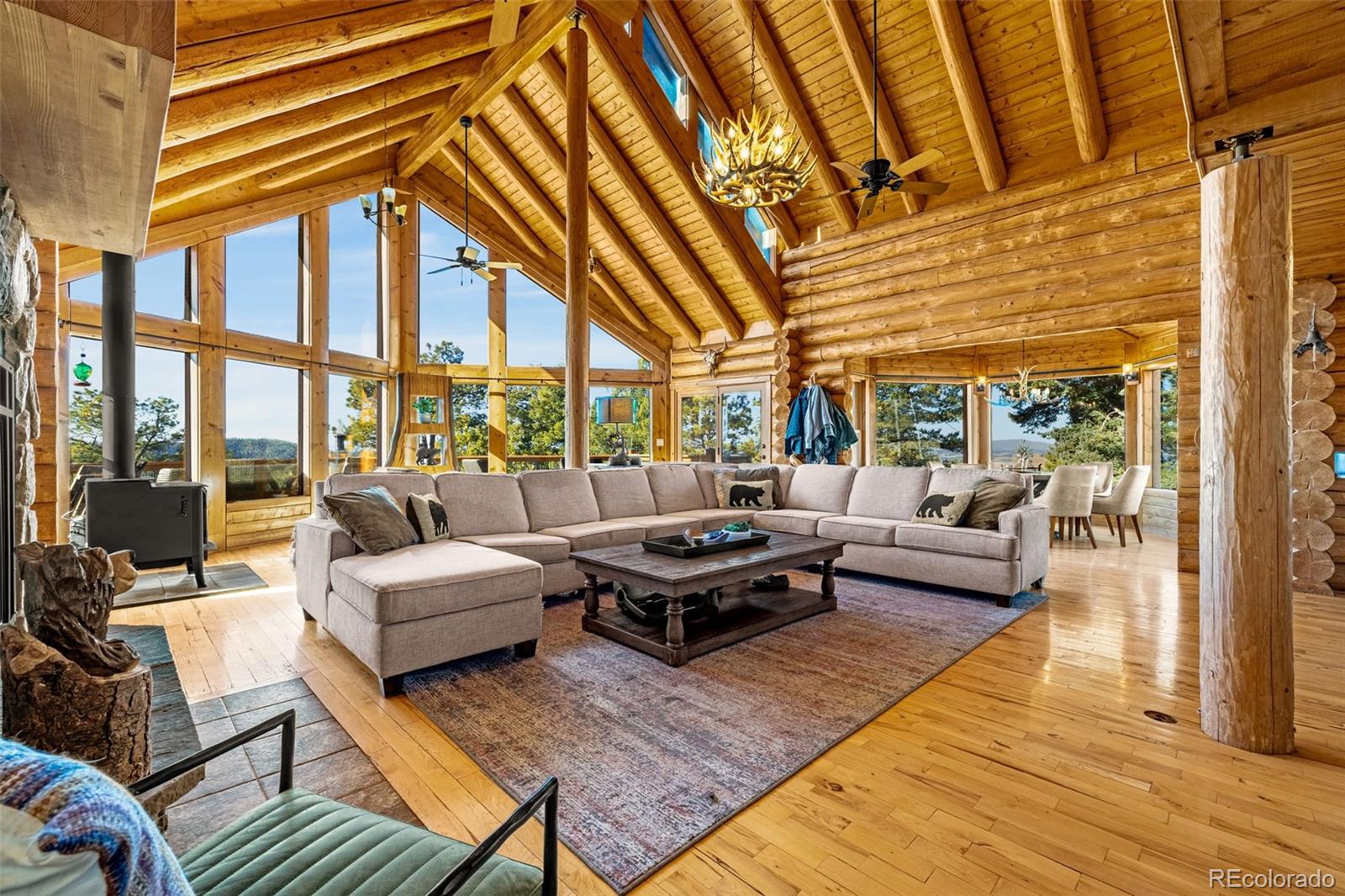 MLS Image #6 for 619  golden cycle circle,cripple creek, Colorado