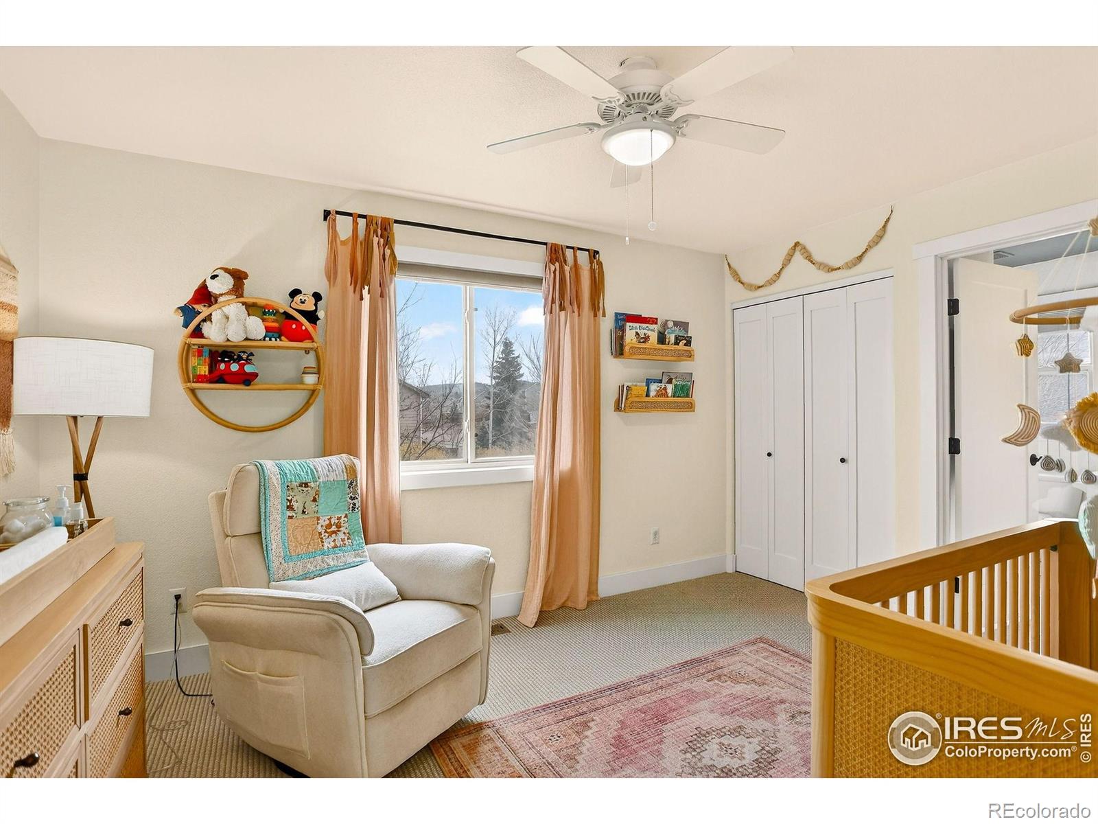 MLS Image #27 for 1263  twinflower place,fort collins, Colorado