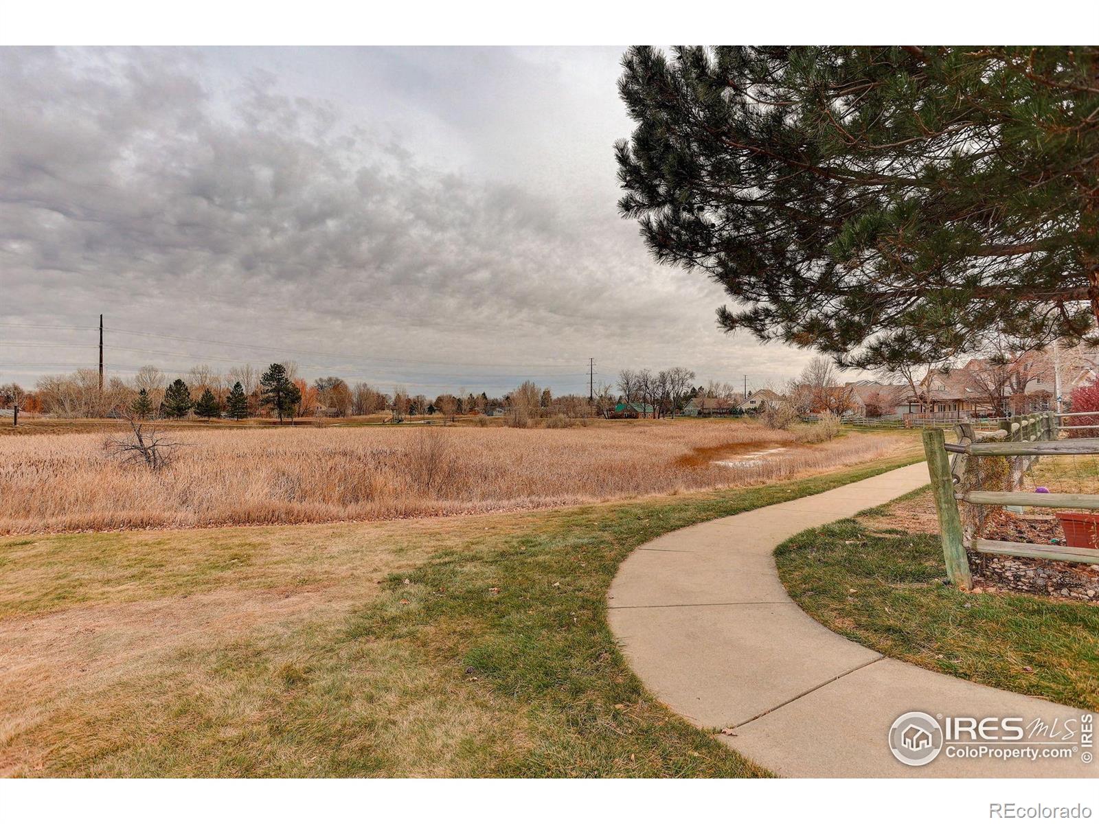 MLS Image #39 for 1263  twinflower place,fort collins, Colorado