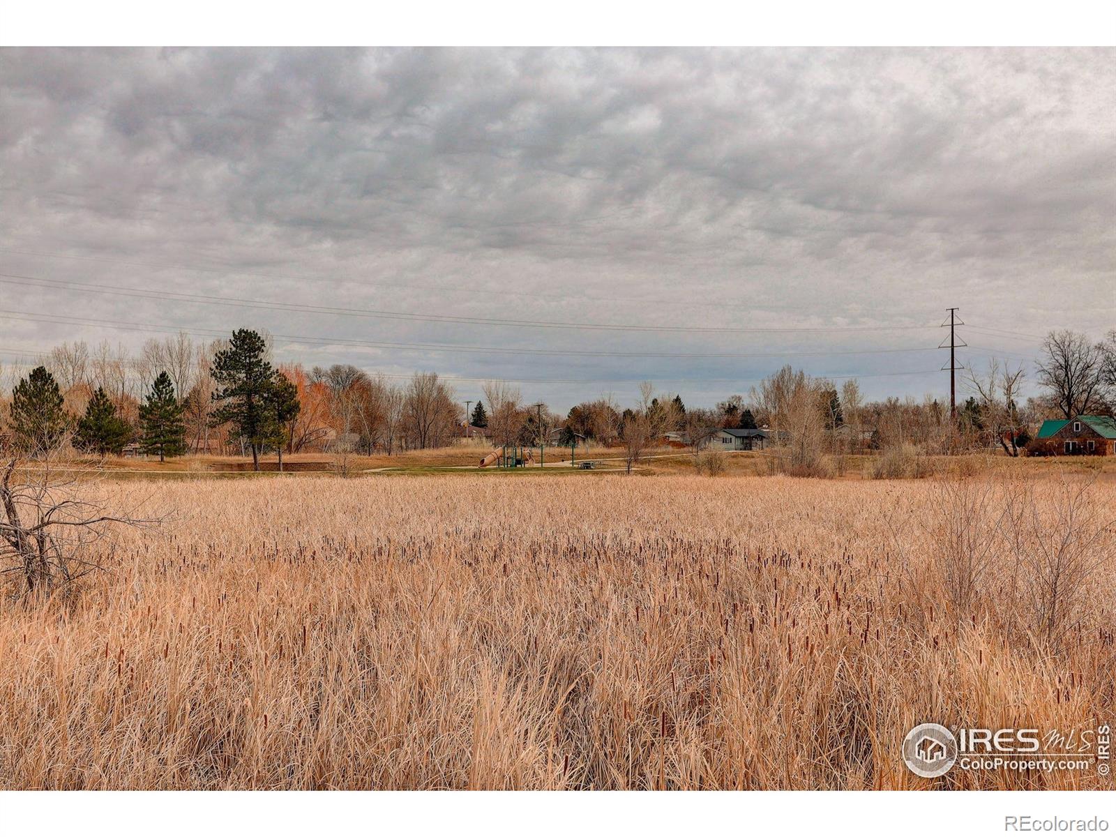 MLS Image #41 for 1263  twinflower place,fort collins, Colorado