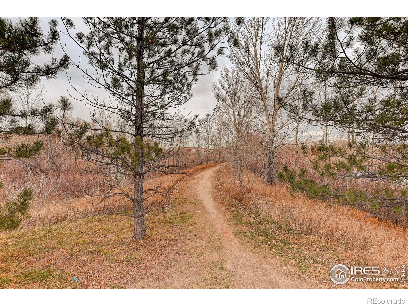 MLS Image #42 for 1263  twinflower place,fort collins, Colorado