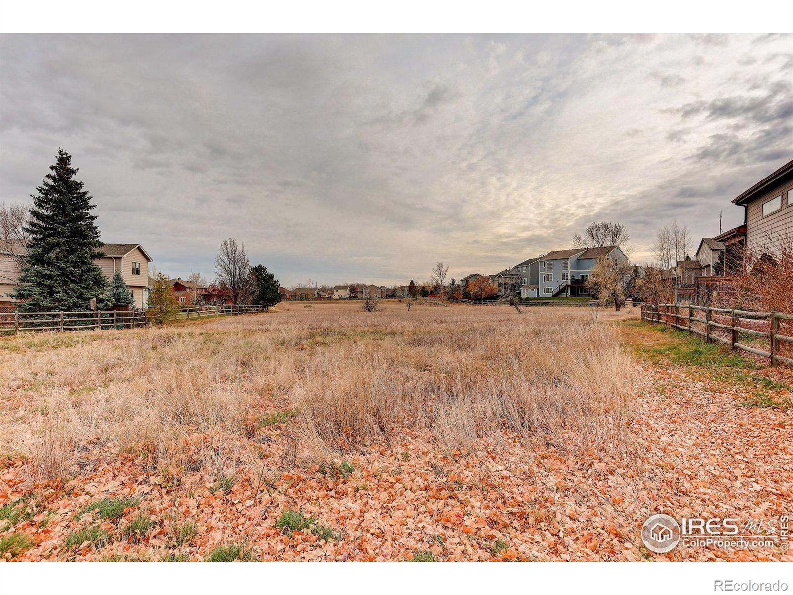 MLS Image #43 for 1263  twinflower place,fort collins, Colorado