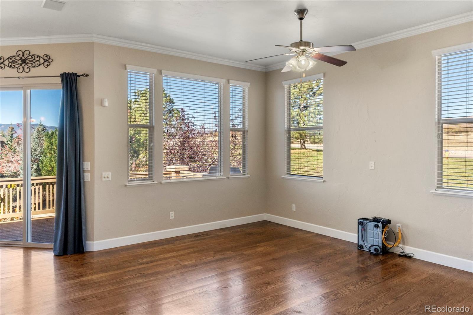 MLS Image #7 for 13494  crane canyon loop,colorado springs, Colorado