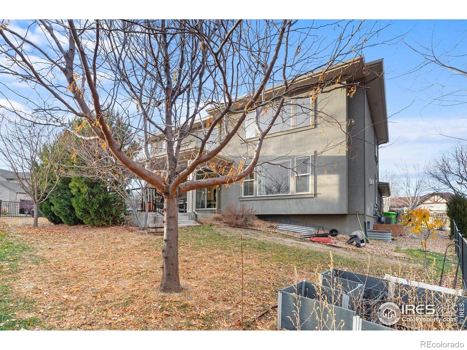 MLS Image #2 for 7027  ruidoso drive,windsor, Colorado