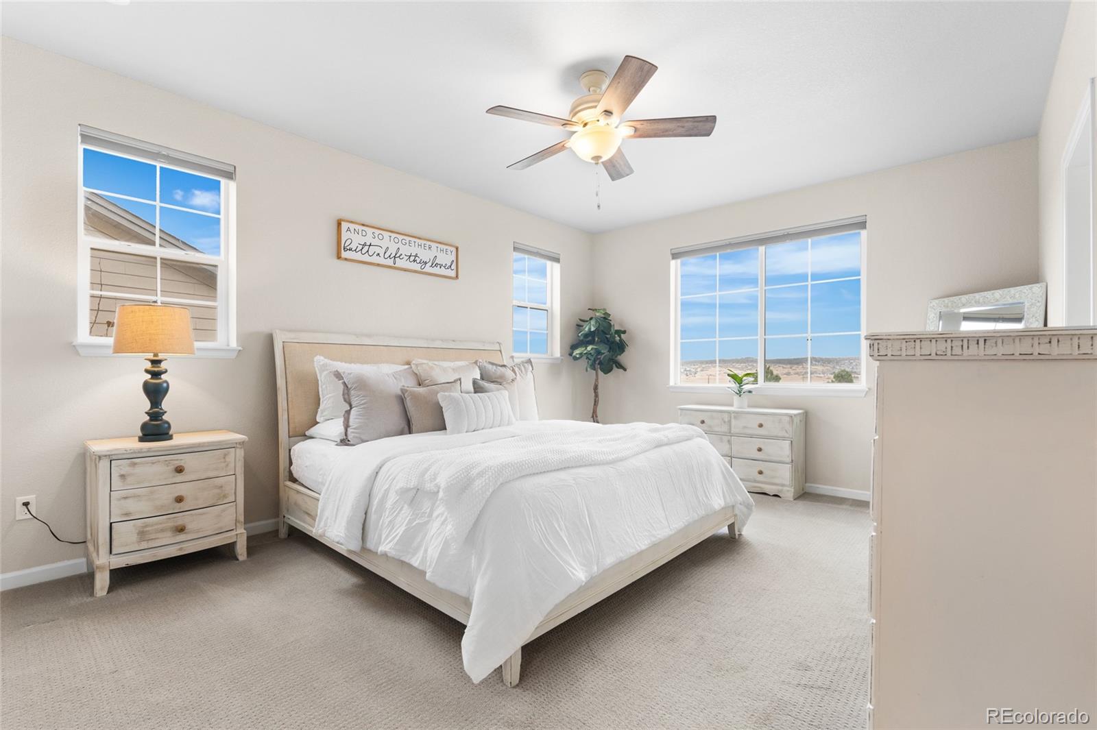 MLS Image #14 for 3182  youngheart way,castle rock, Colorado
