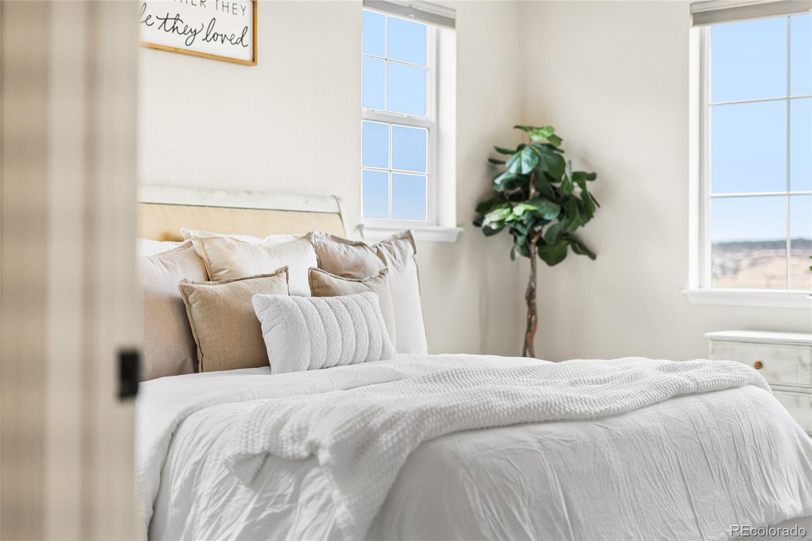 MLS Image #15 for 3182  youngheart way,castle rock, Colorado
