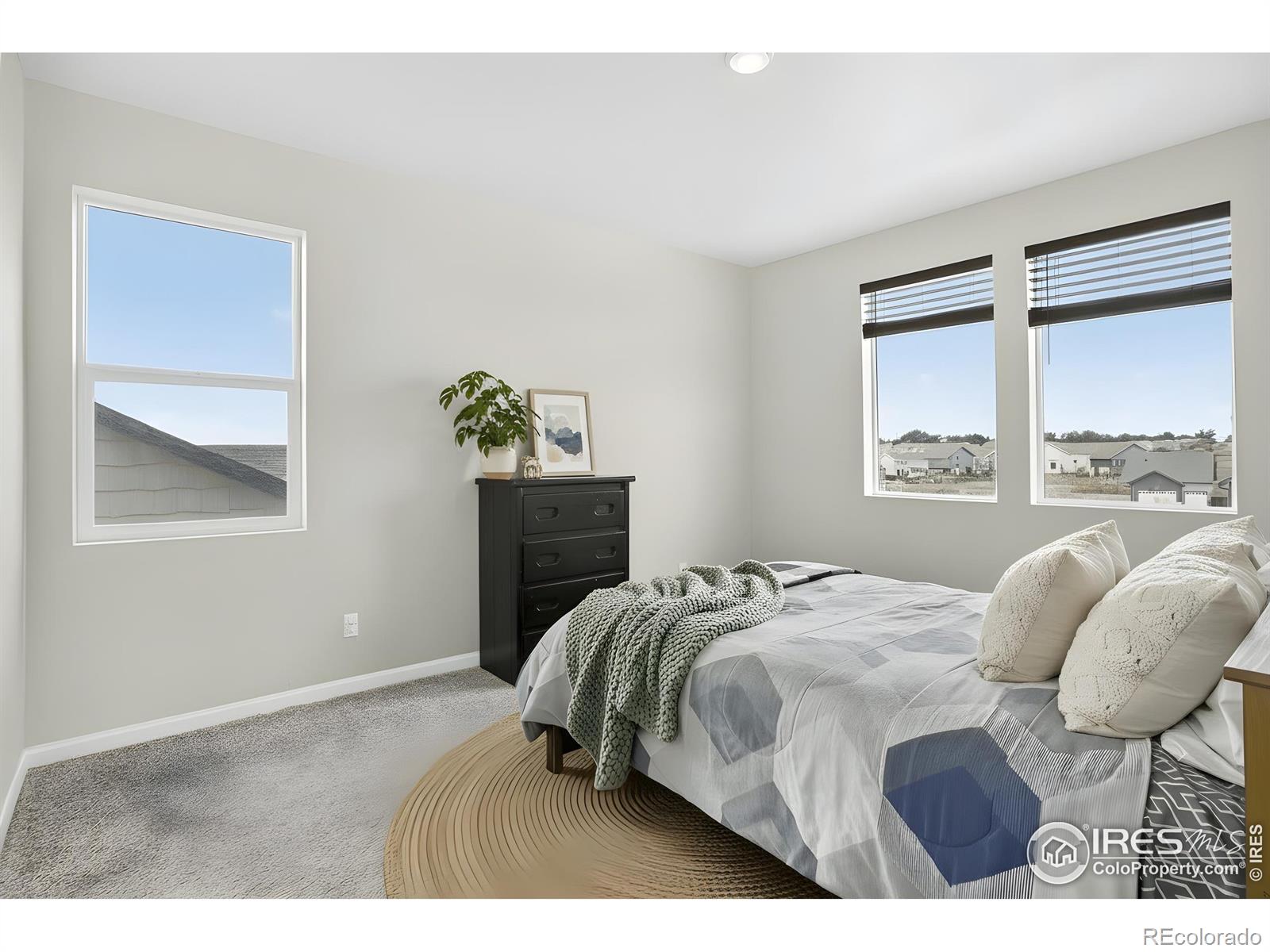 MLS Image #20 for 16860  mckay drive,mead, Colorado