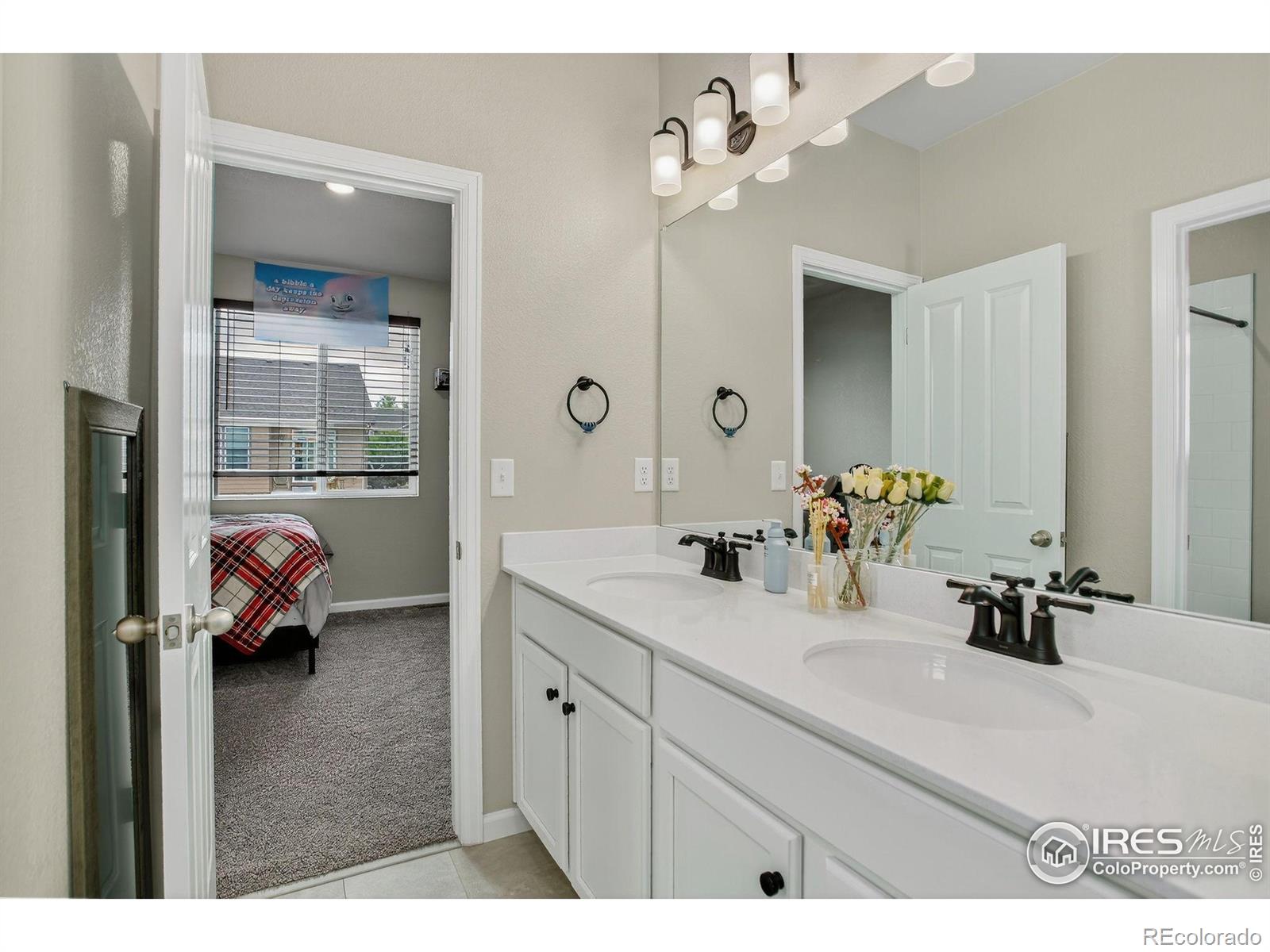 MLS Image #25 for 16860  mckay drive,mead, Colorado