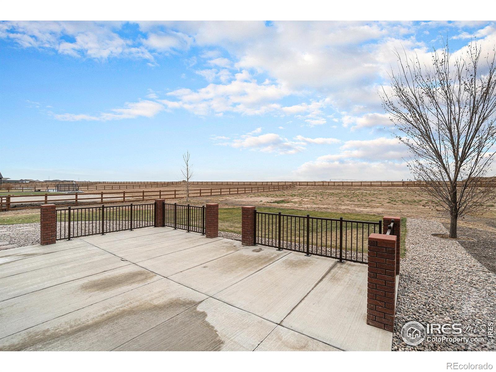 MLS Image #26 for 5005  prairie lark lane,severance, Colorado