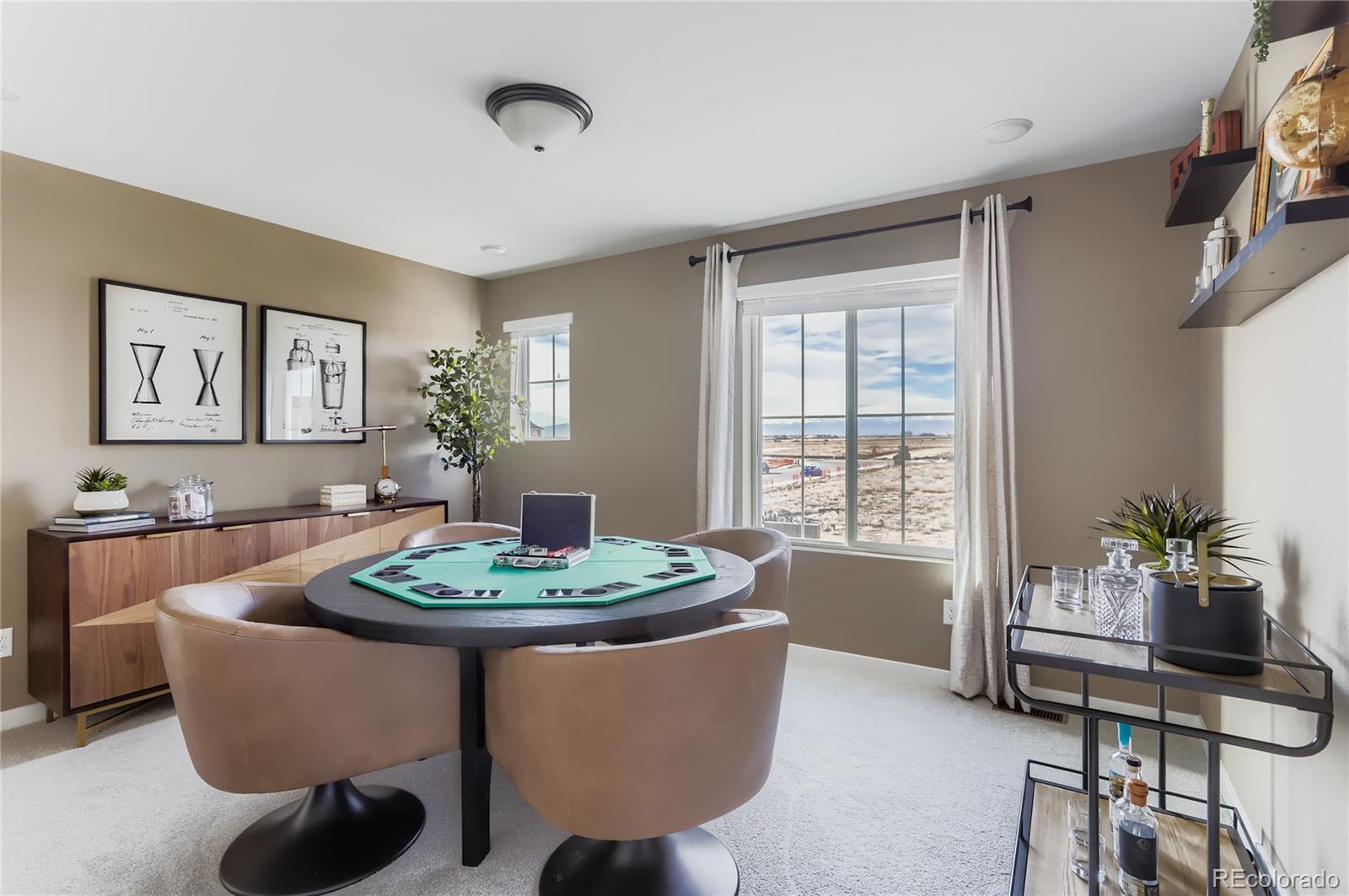 MLS Image #19 for 13322  front porch lane,firestone, Colorado