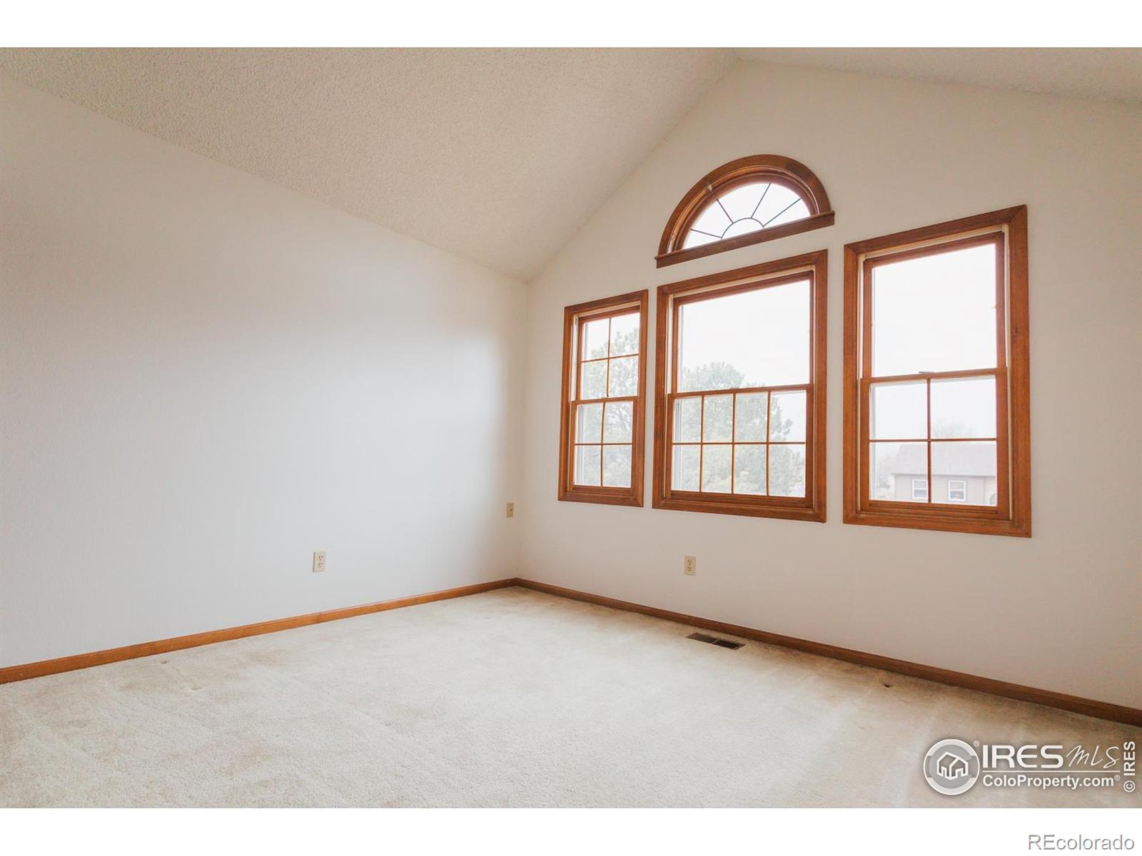 MLS Image #22 for 4142  snow ridge circle,fort collins, Colorado
