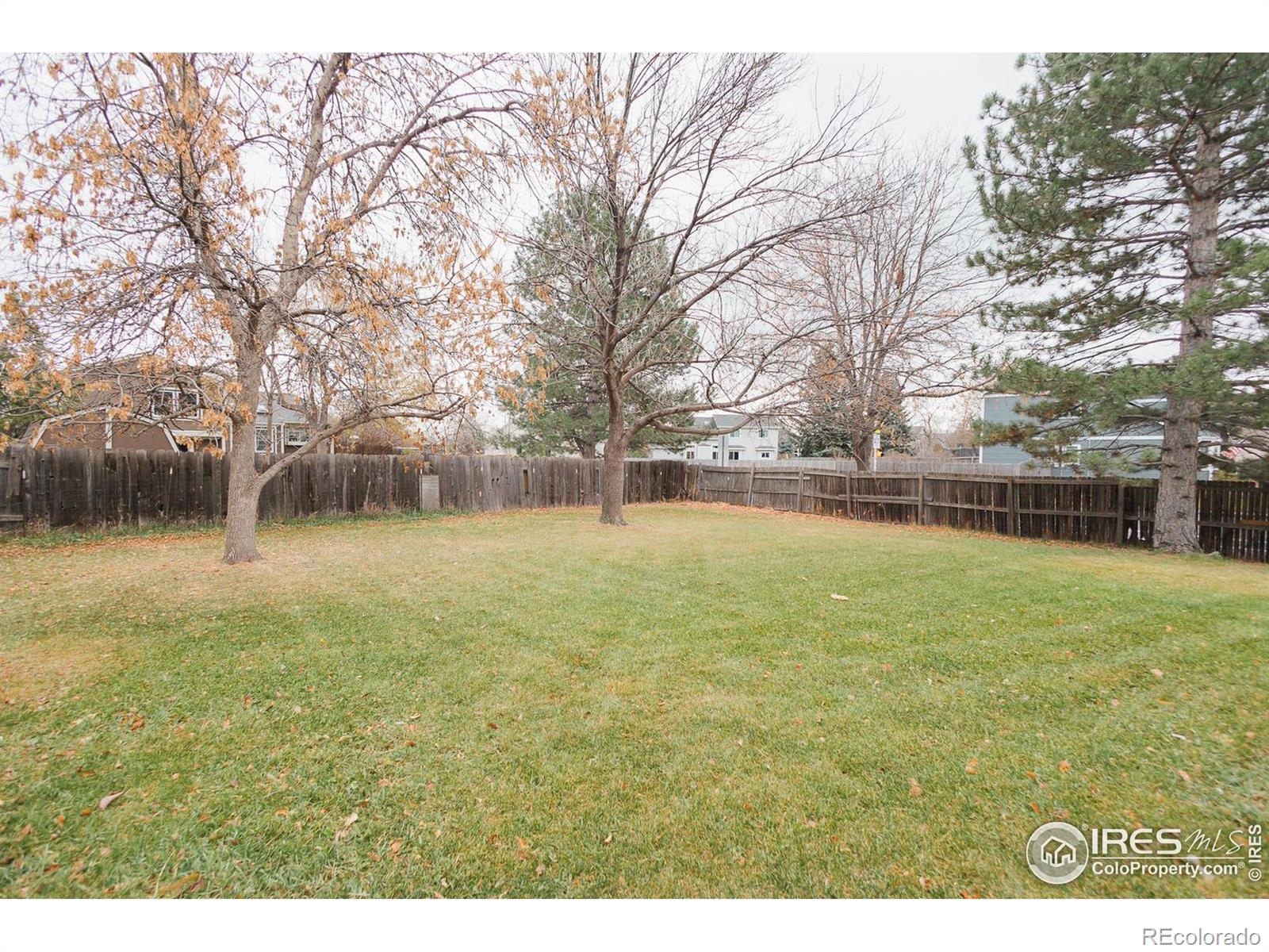 MLS Image #29 for 4142  snow ridge circle,fort collins, Colorado