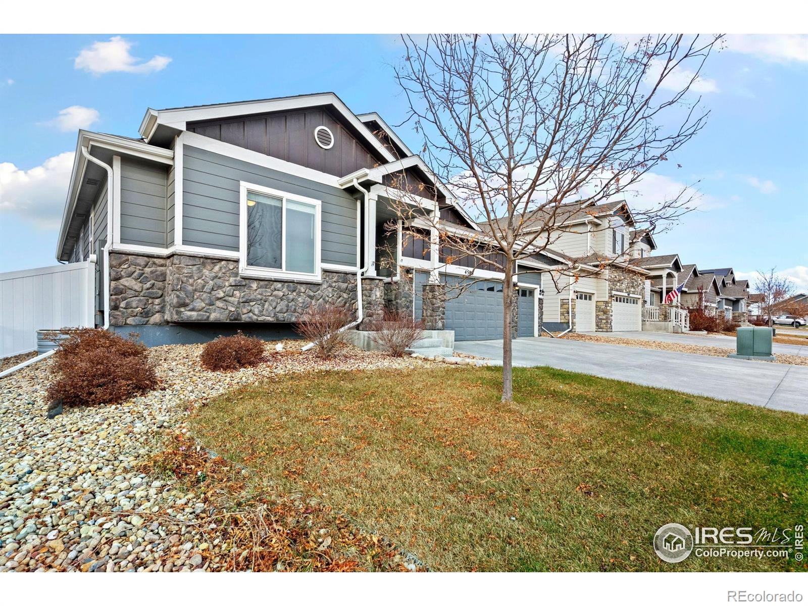 MLS Image #2 for 4586  binfield drive,windsor, Colorado