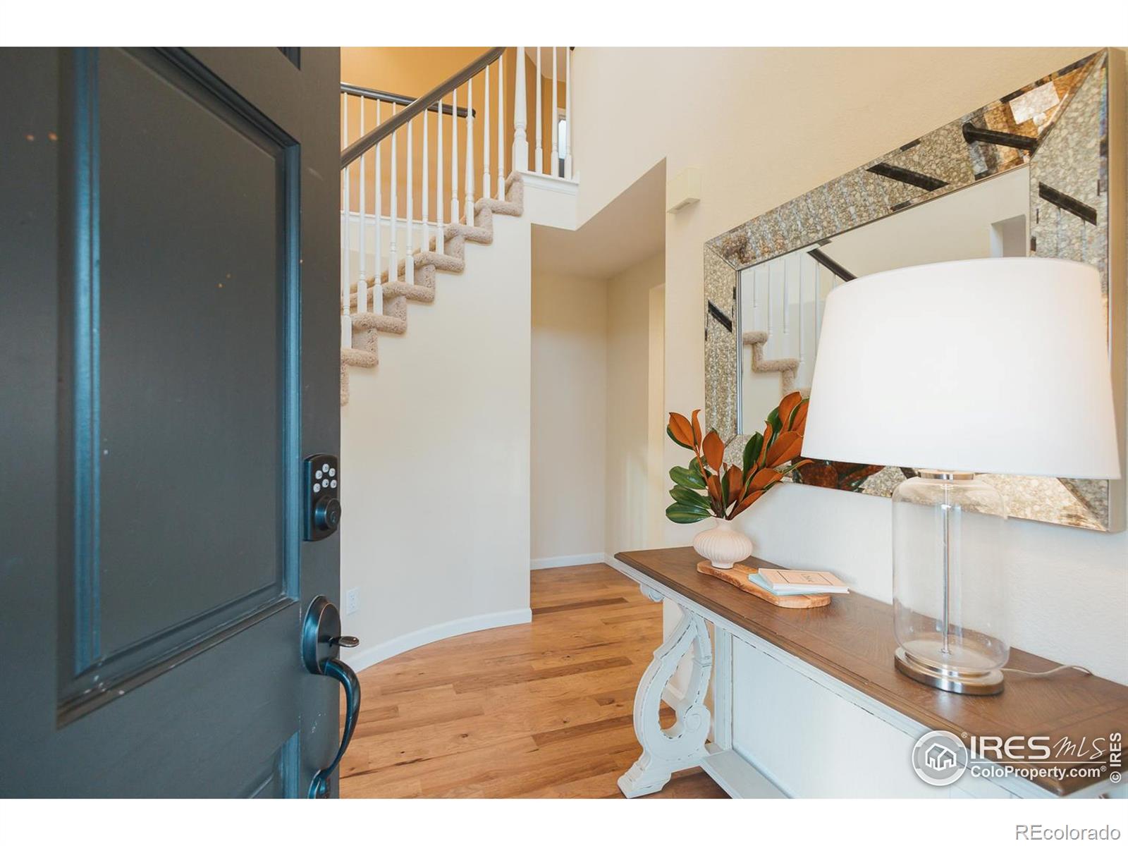 MLS Image #3 for 1306  paragon place,fort collins, Colorado
