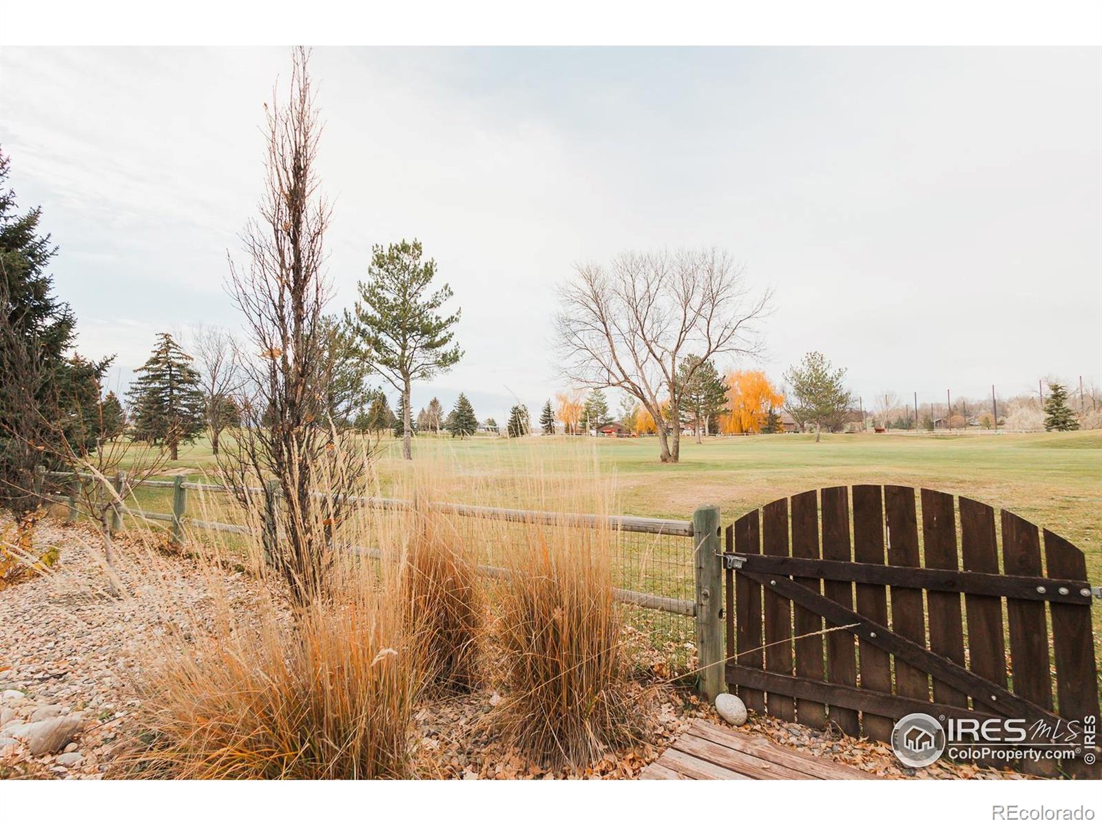 MLS Image #48 for 1306  paragon place,fort collins, Colorado