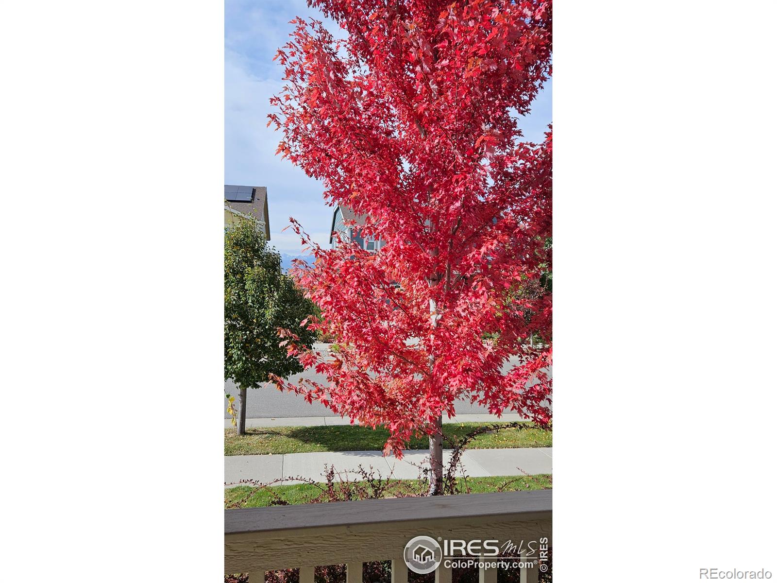 MLS Image #43 for 849  dinosaur drive,erie, Colorado