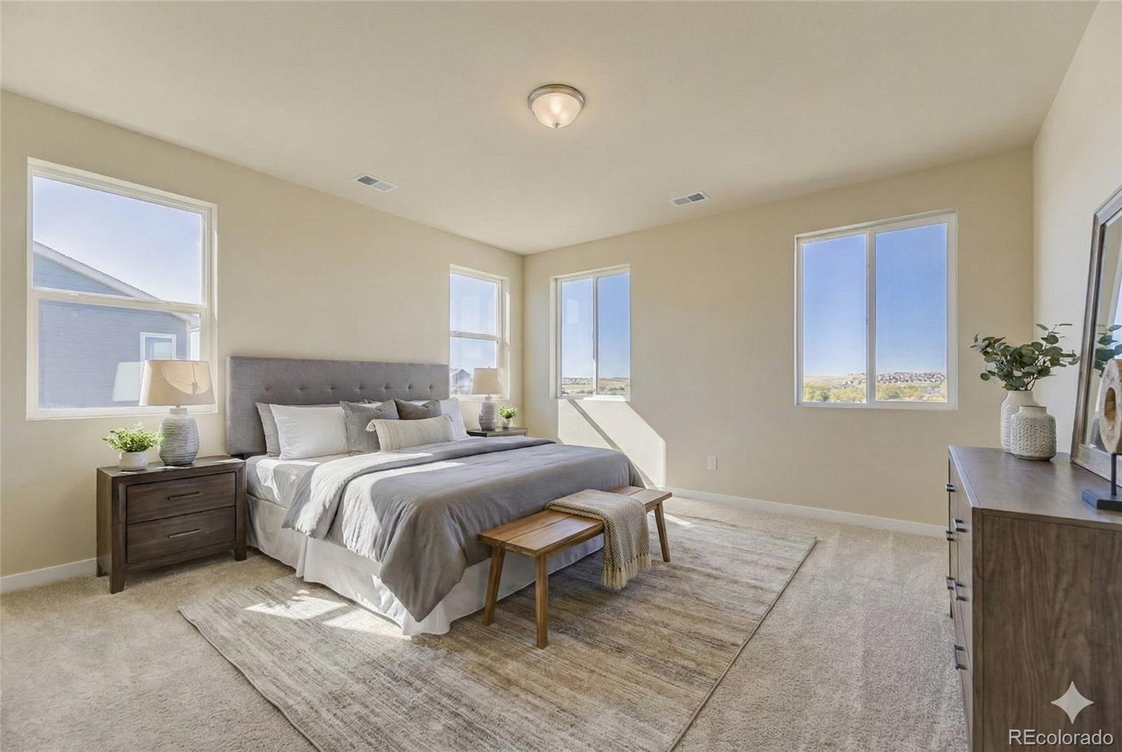 MLS Image #11 for 13801  daffodil way,parker, Colorado