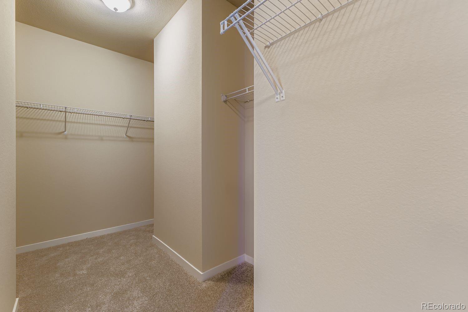 MLS Image #15 for 13801  daffodil way,parker, Colorado