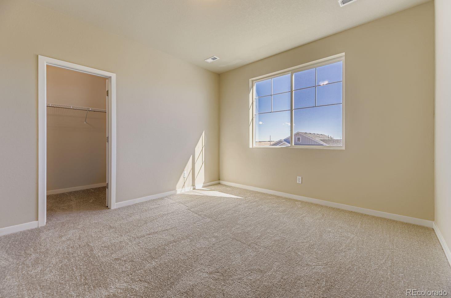 MLS Image #17 for 13801  daffodil way,parker, Colorado