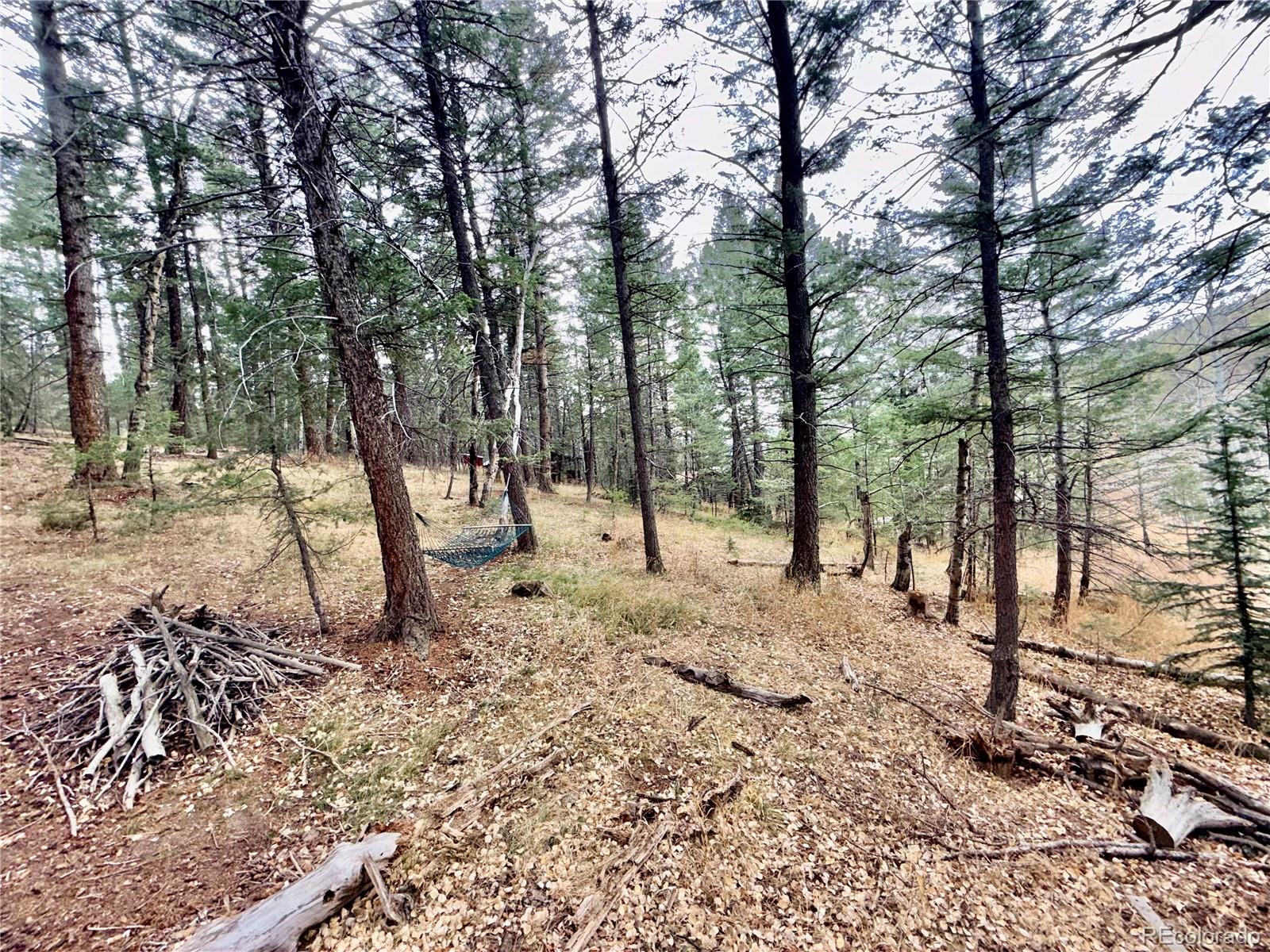 MLS Image #13 for 5475 s twin spruce drive,evergreen, Colorado