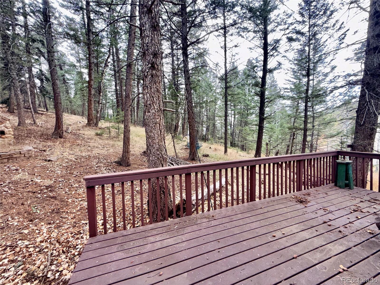 MLS Image #18 for 5475 s twin spruce drive,evergreen, Colorado