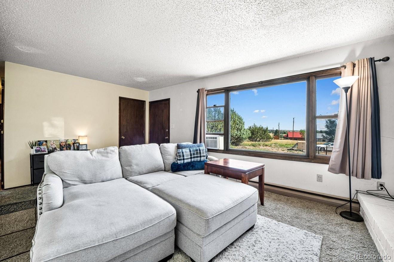 MLS Image #6 for 5097  left hand lane,colorado city, Colorado