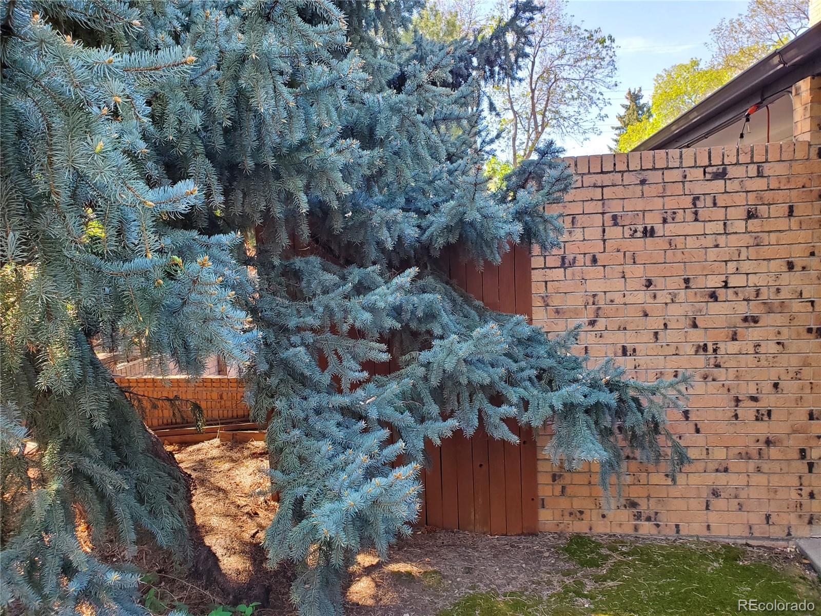 MLS Image #29 for 8542 w 10th avenue,lakewood, Colorado