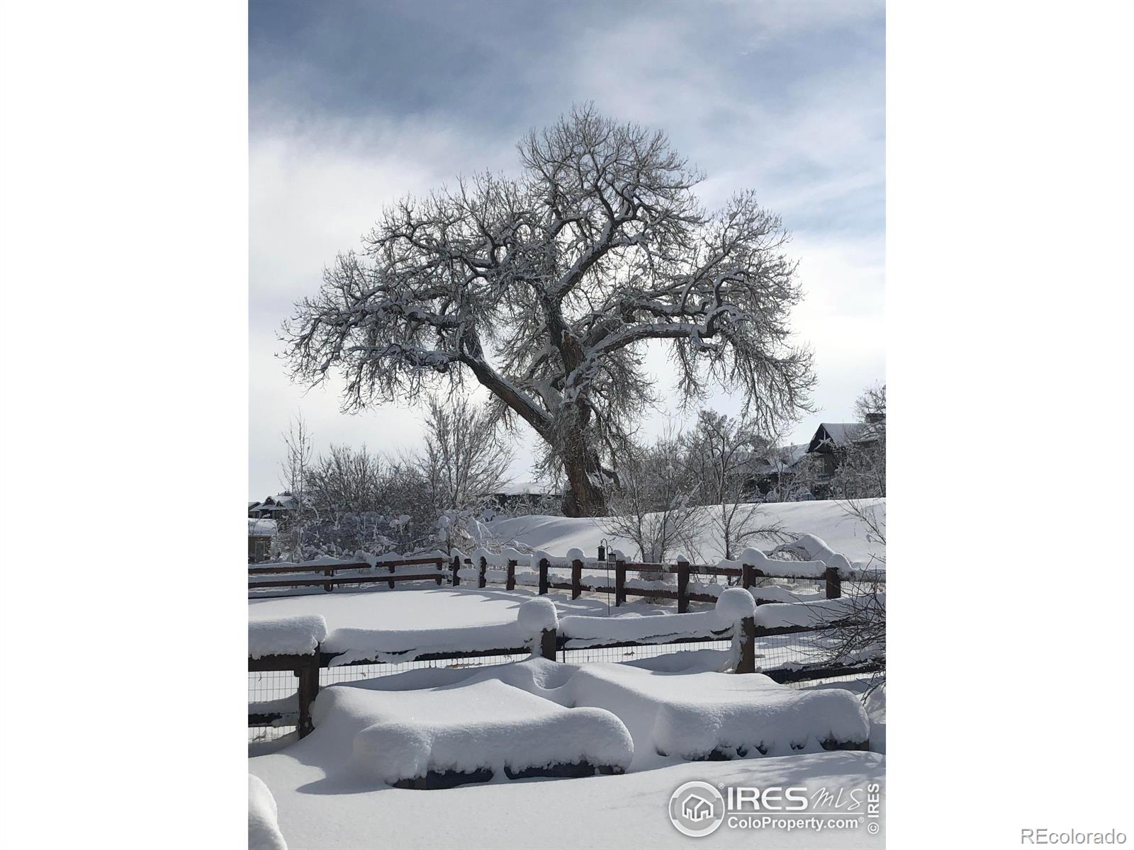 MLS Image #27 for 645  deer meadow drive,loveland, Colorado