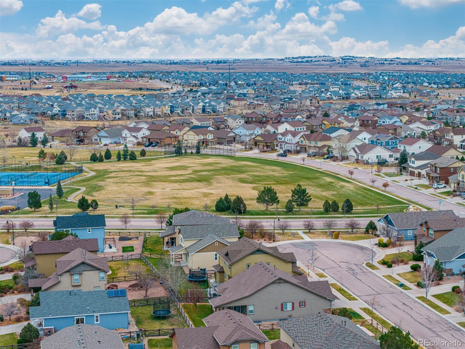 MLS Image #42 for 8044  buckeye tree lane,colorado springs, Colorado